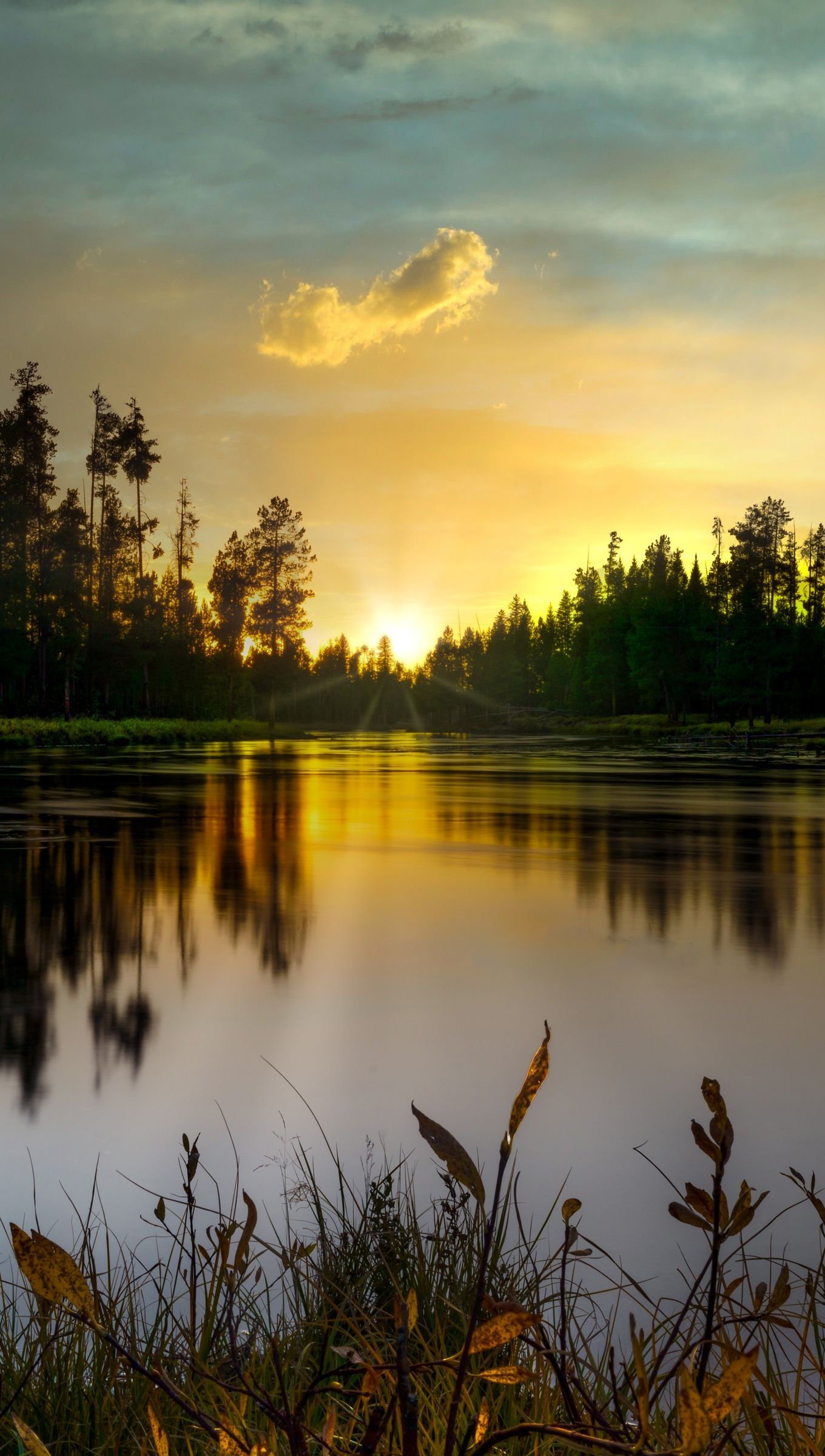 Lago en bosque al atardecer