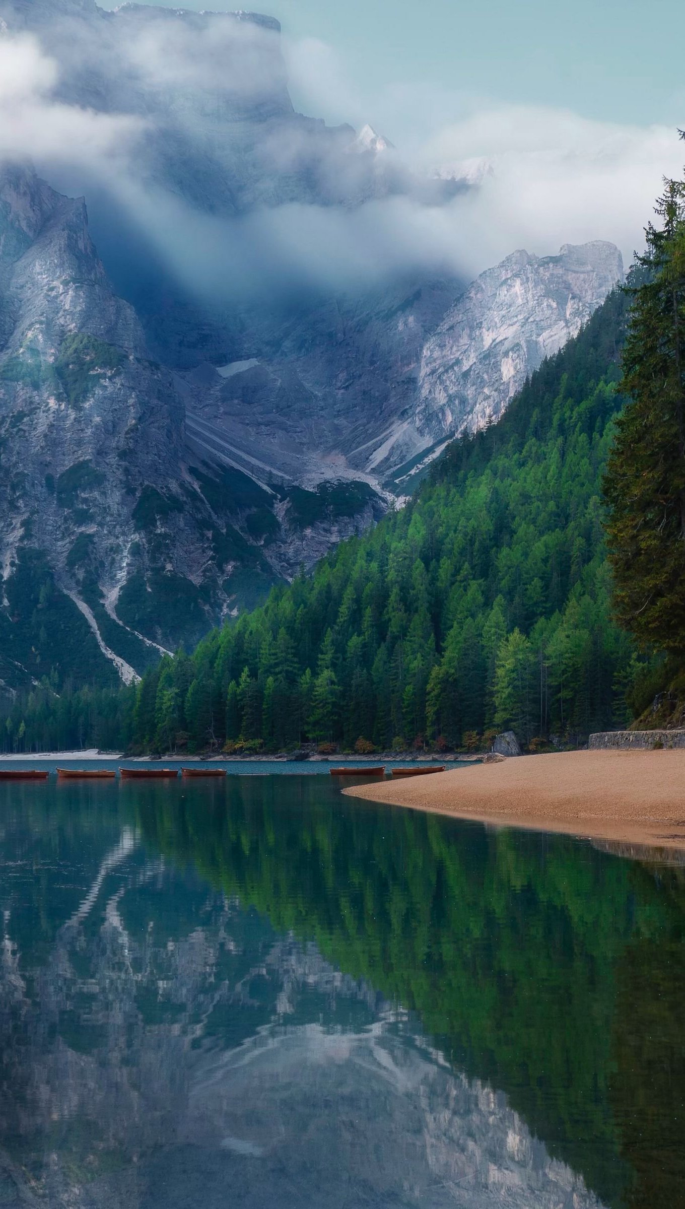 Lago en bosque con niebla