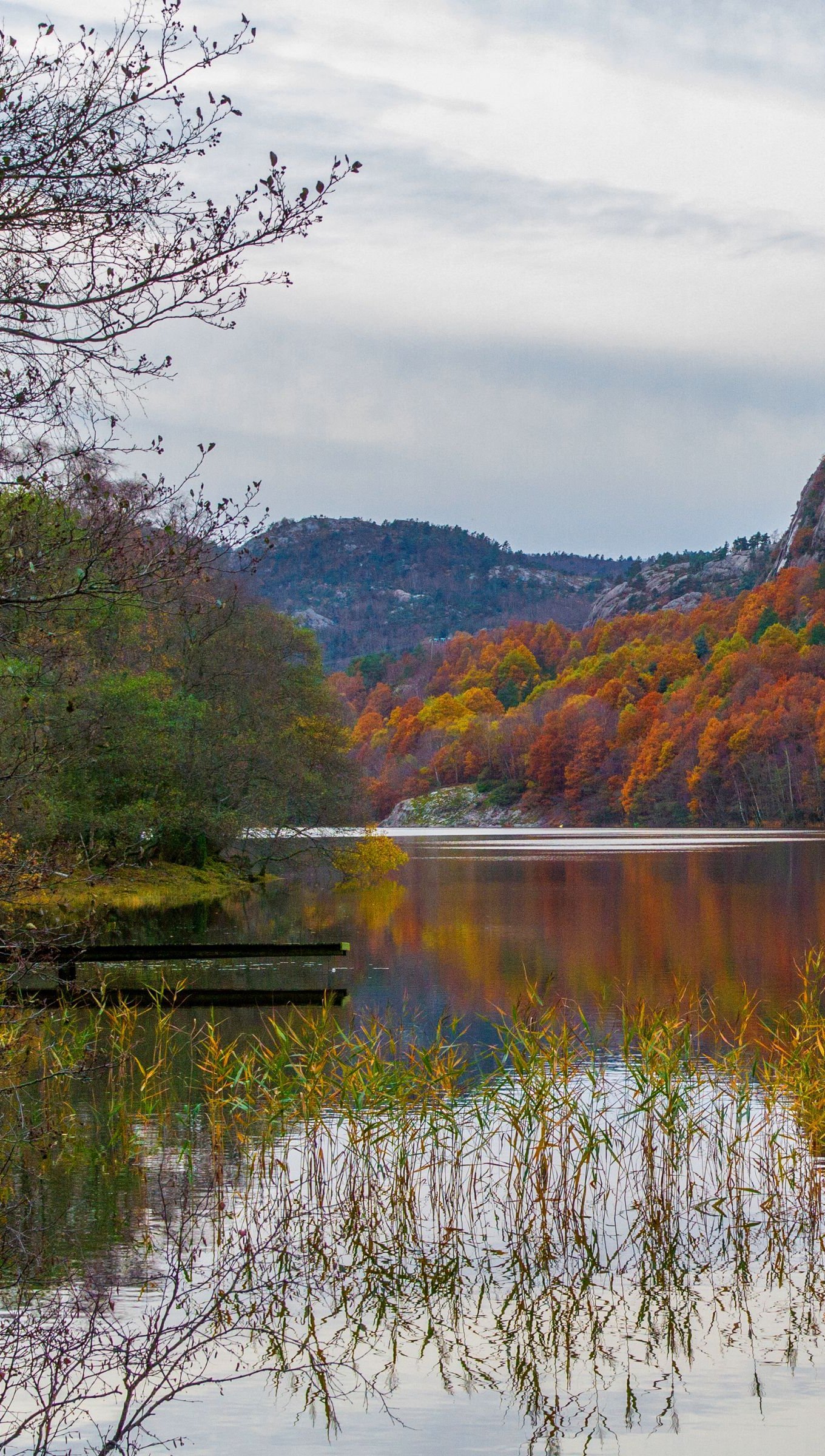 Lago en bosque durante el otoño