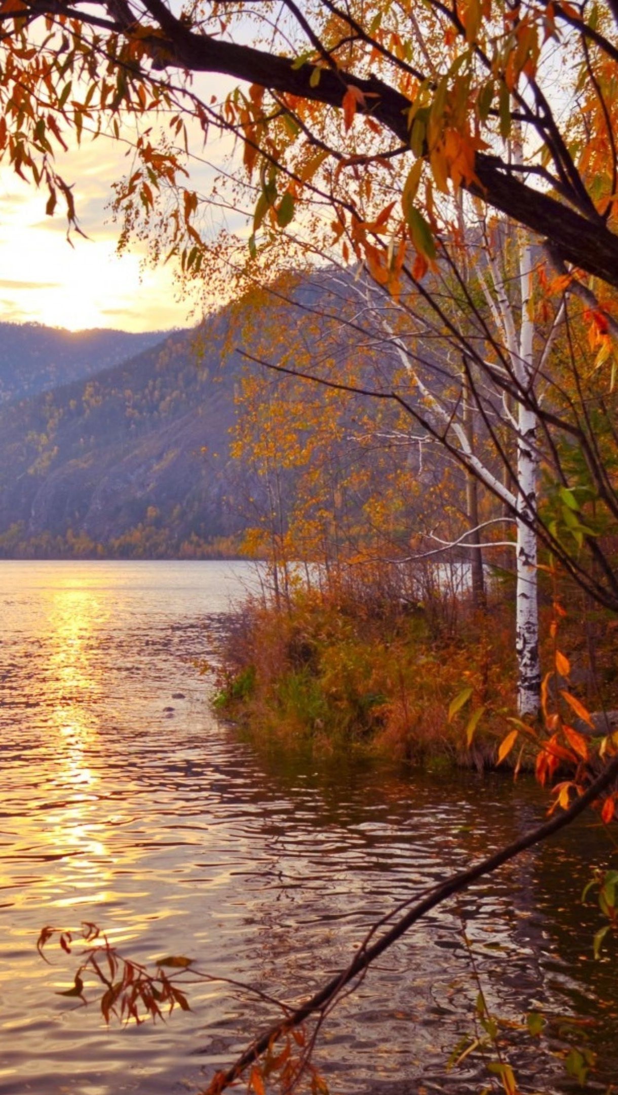 Lago en bosque durante otoño