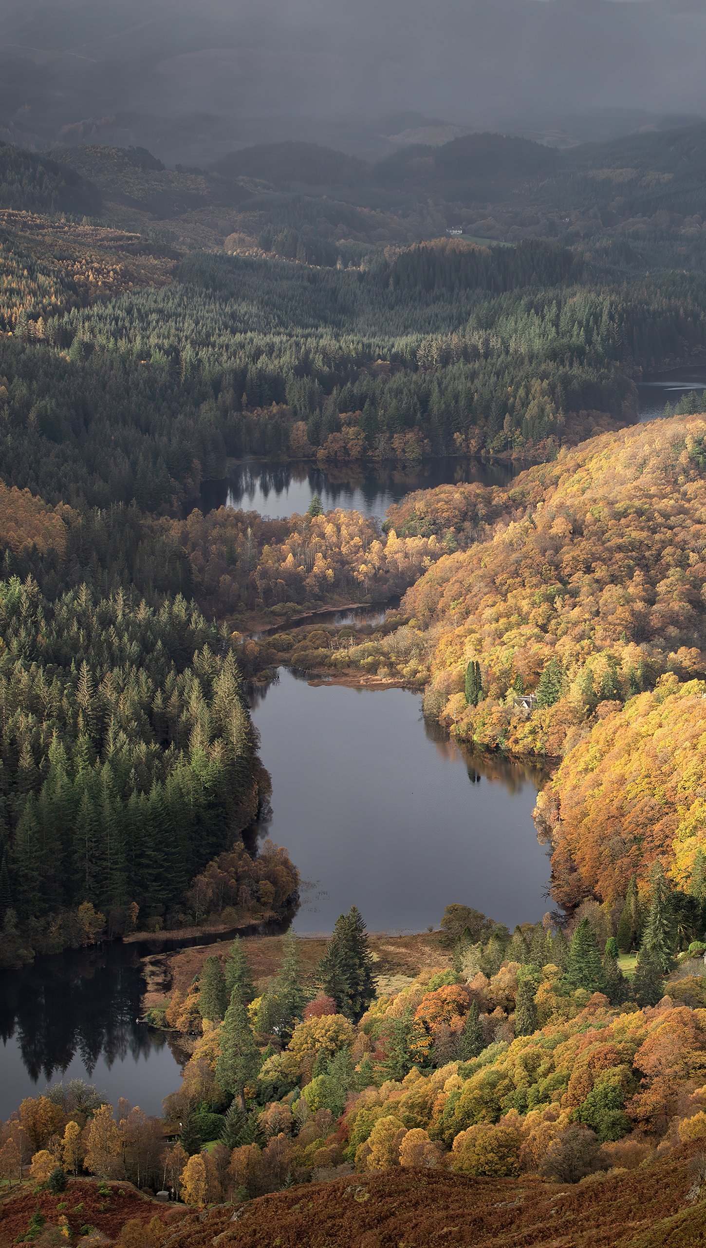 Lago en el bosque