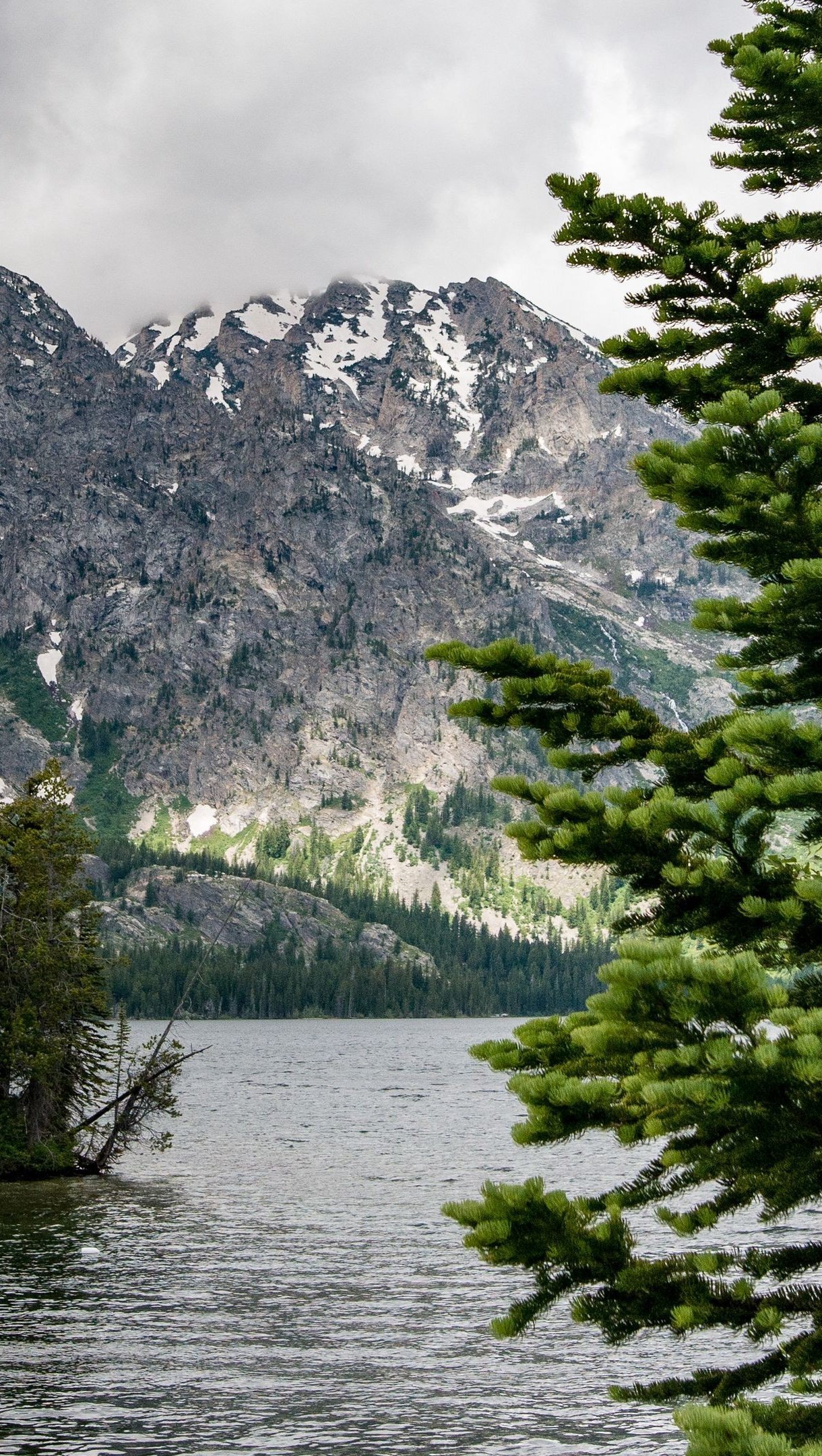 Lago entre las montañas del bosque