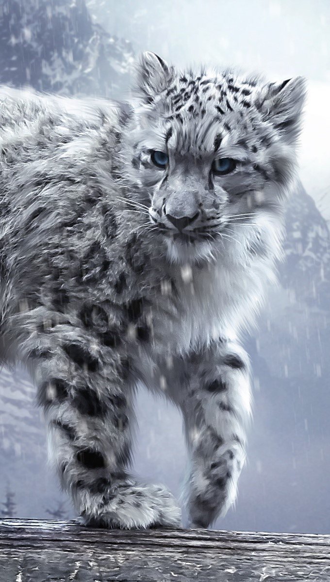 Leopardo blanco