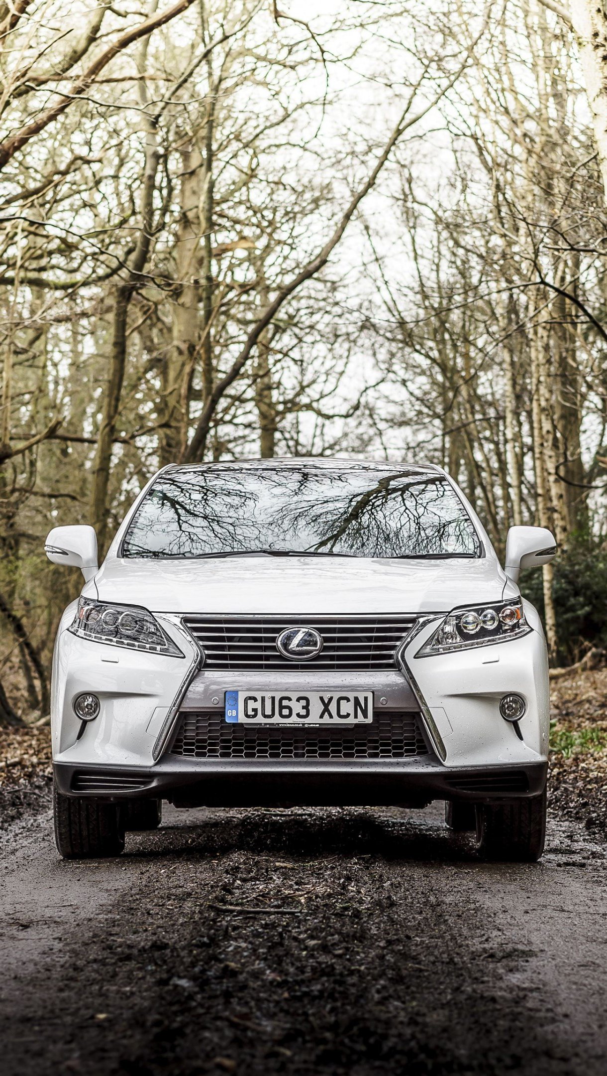 Lexus RX 450H F sport UK Spec