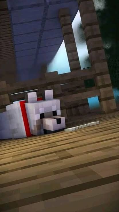 Lobito de minecraft