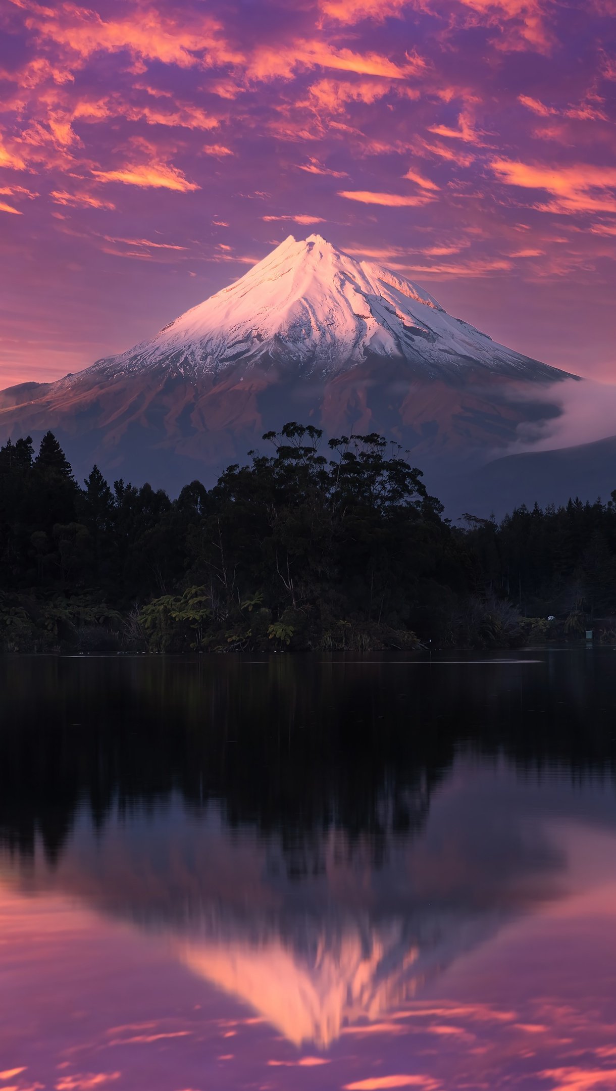 Montaña al atardecer en el bosque