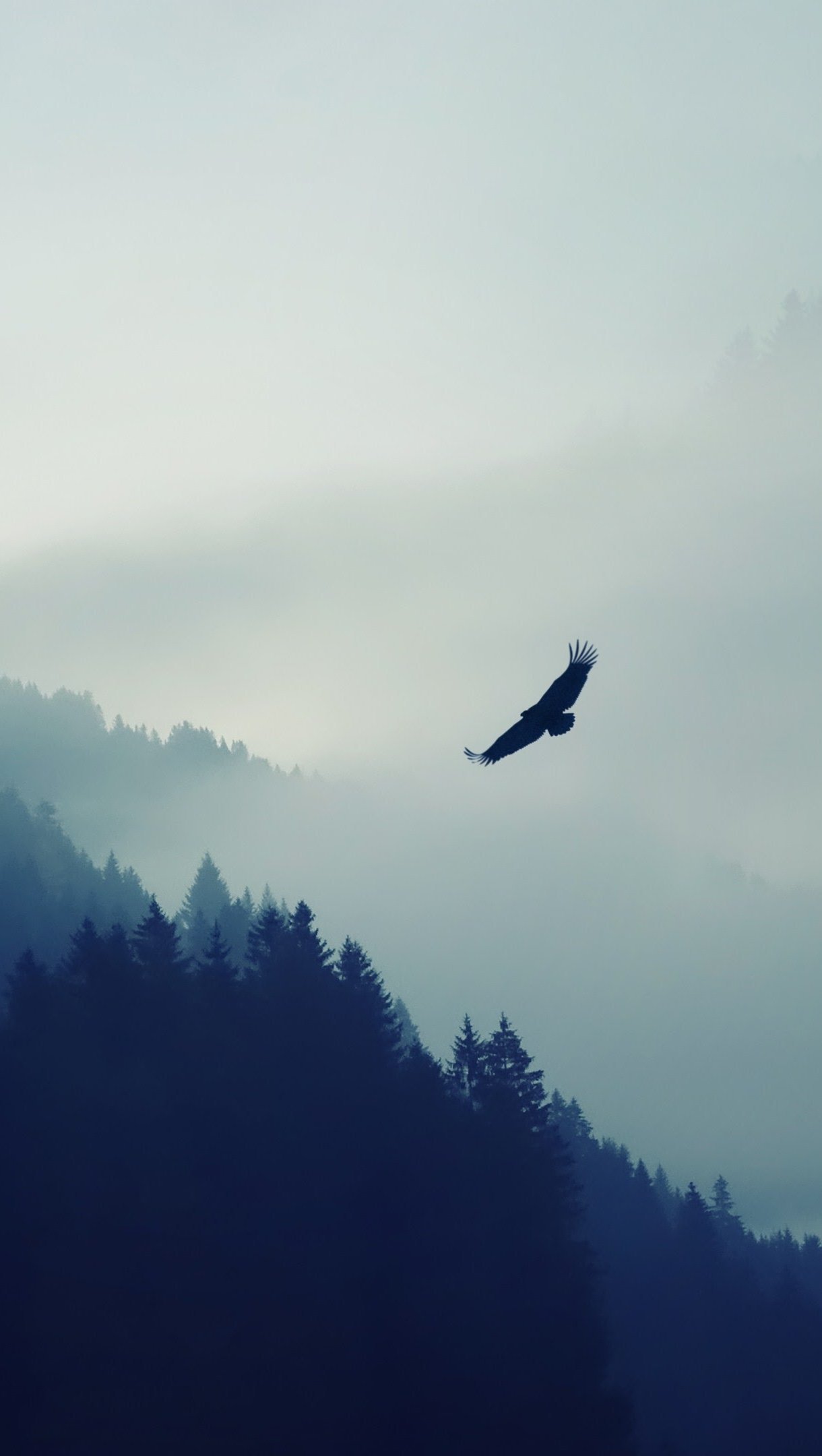 Montaña bosque y águila