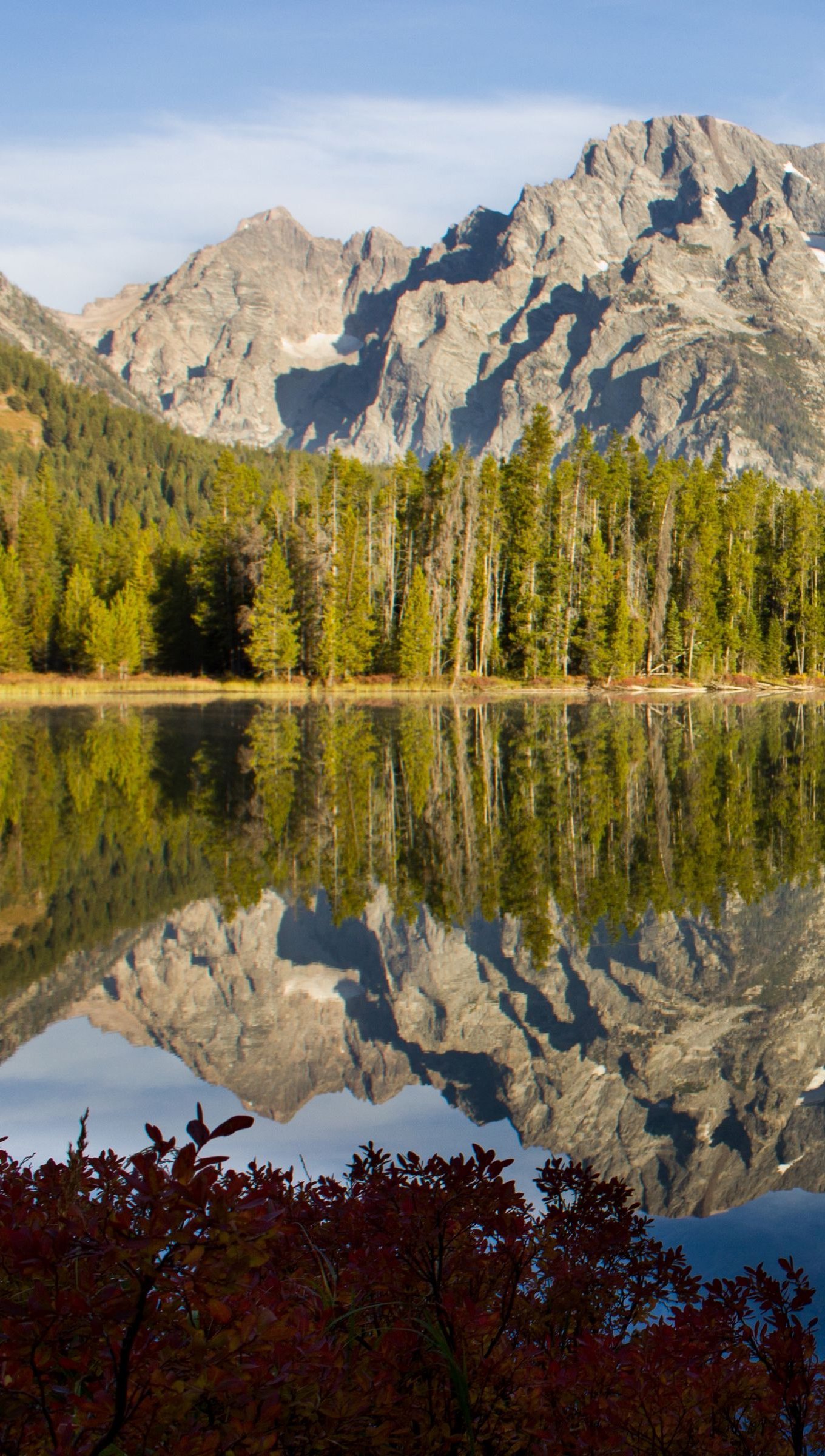 Montaña reflejada en lago en el bosque