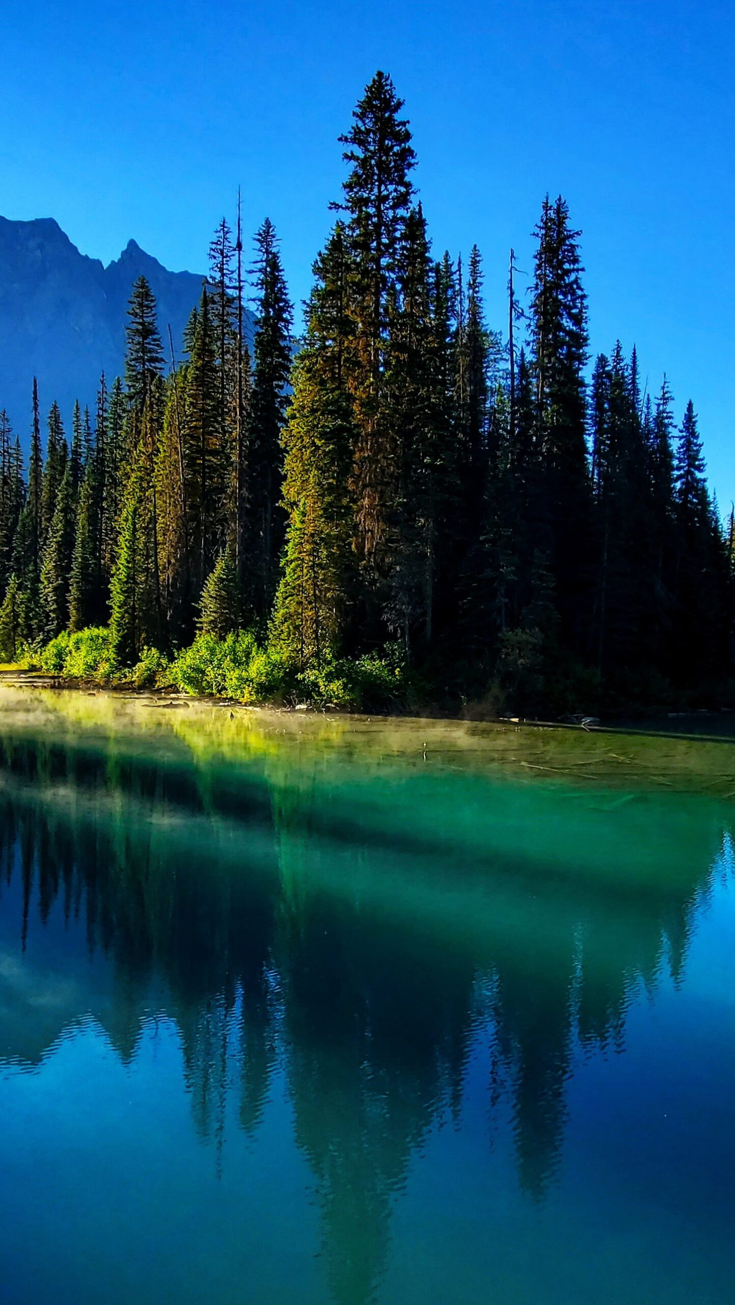 Montañas a través de lago y árboles en Canada