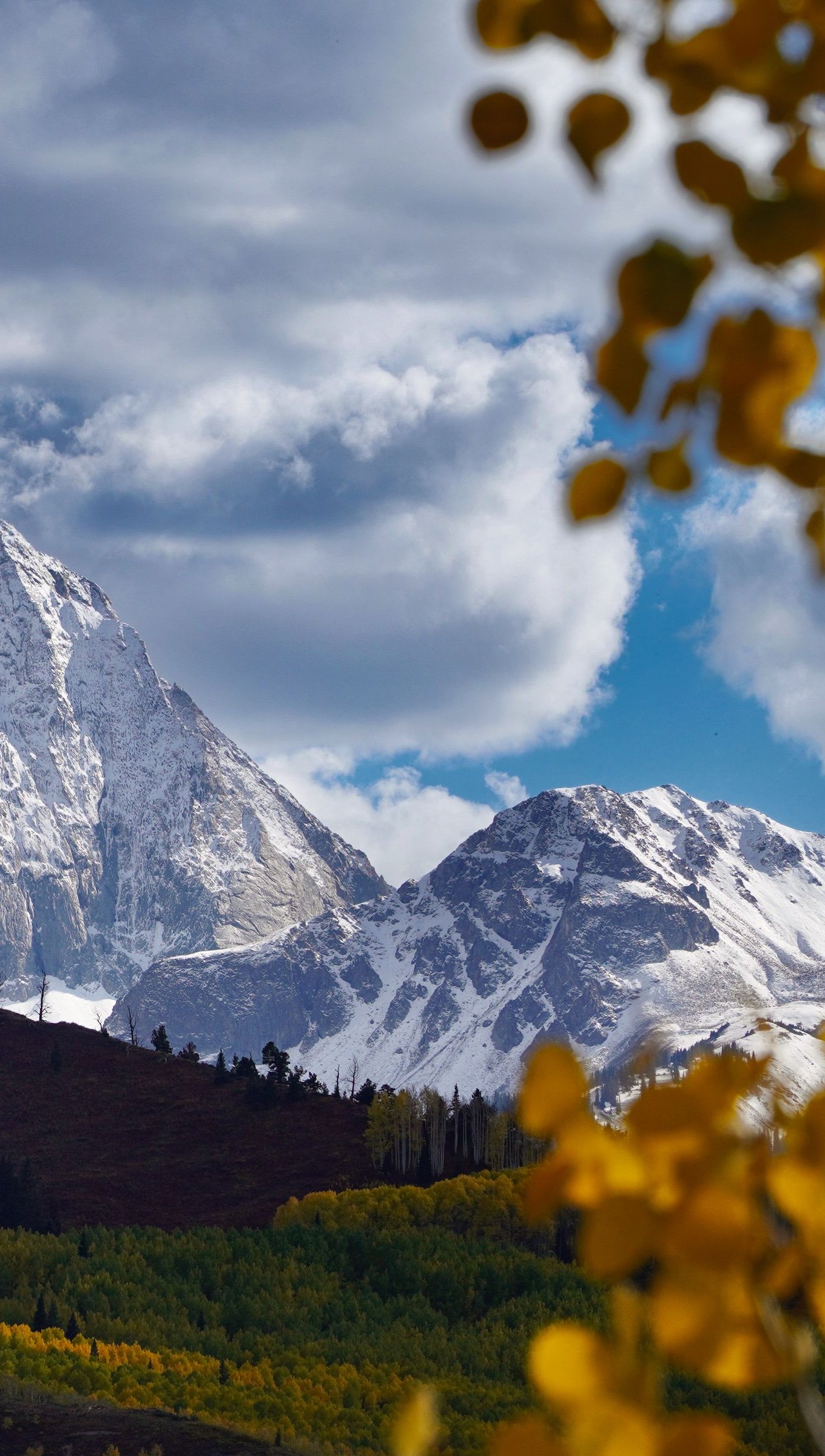 Montañas nevadas a través del bosque