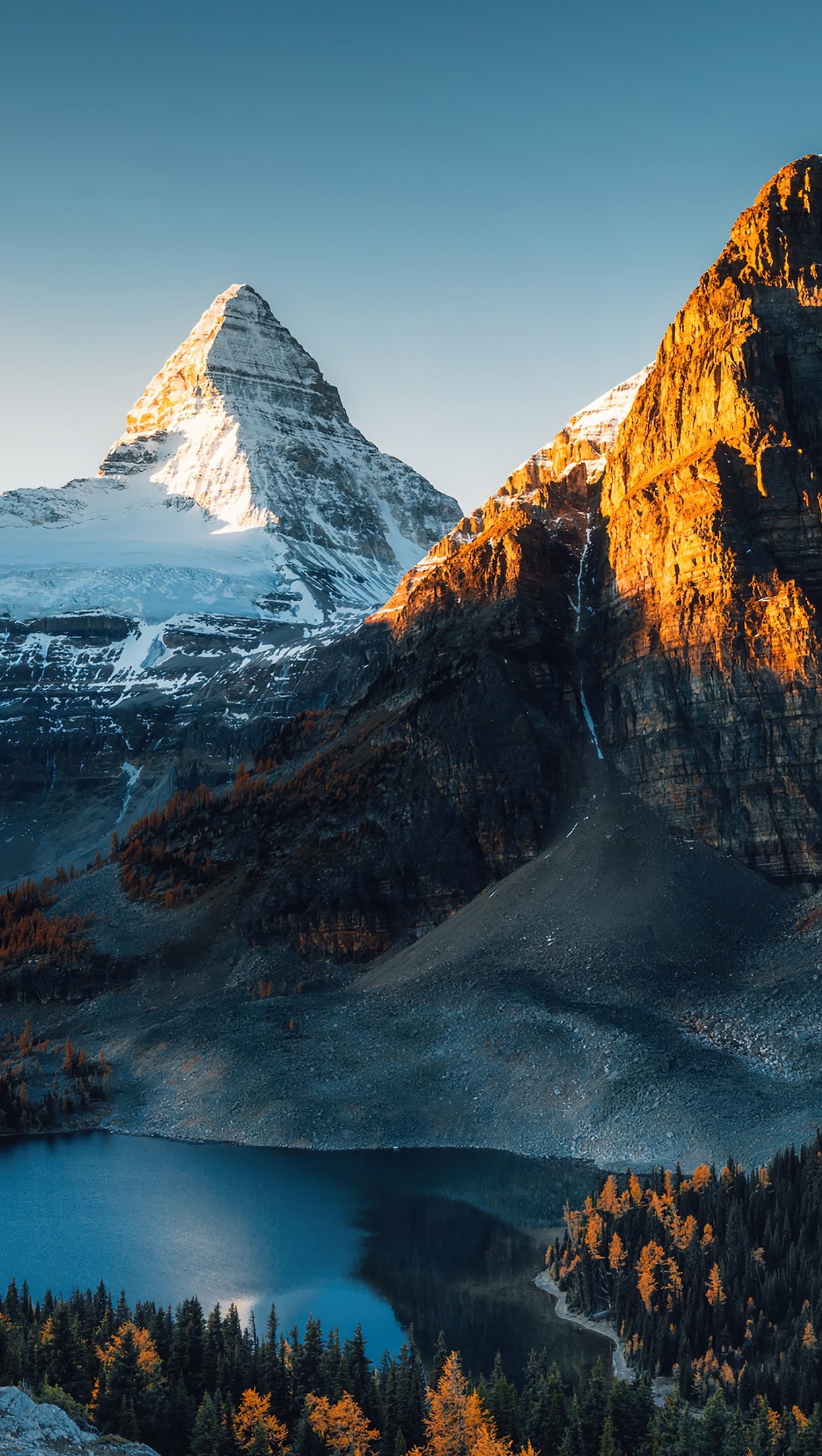 Montañas nevadas en el bosque