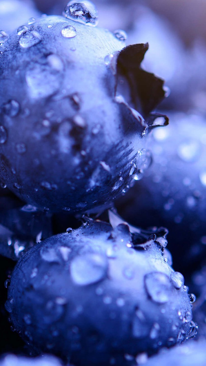 Moras azules con gotas de agua