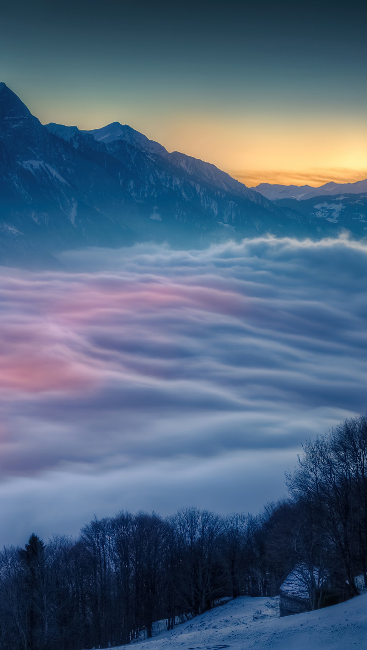 Niebla sobre el bosque en las montañas