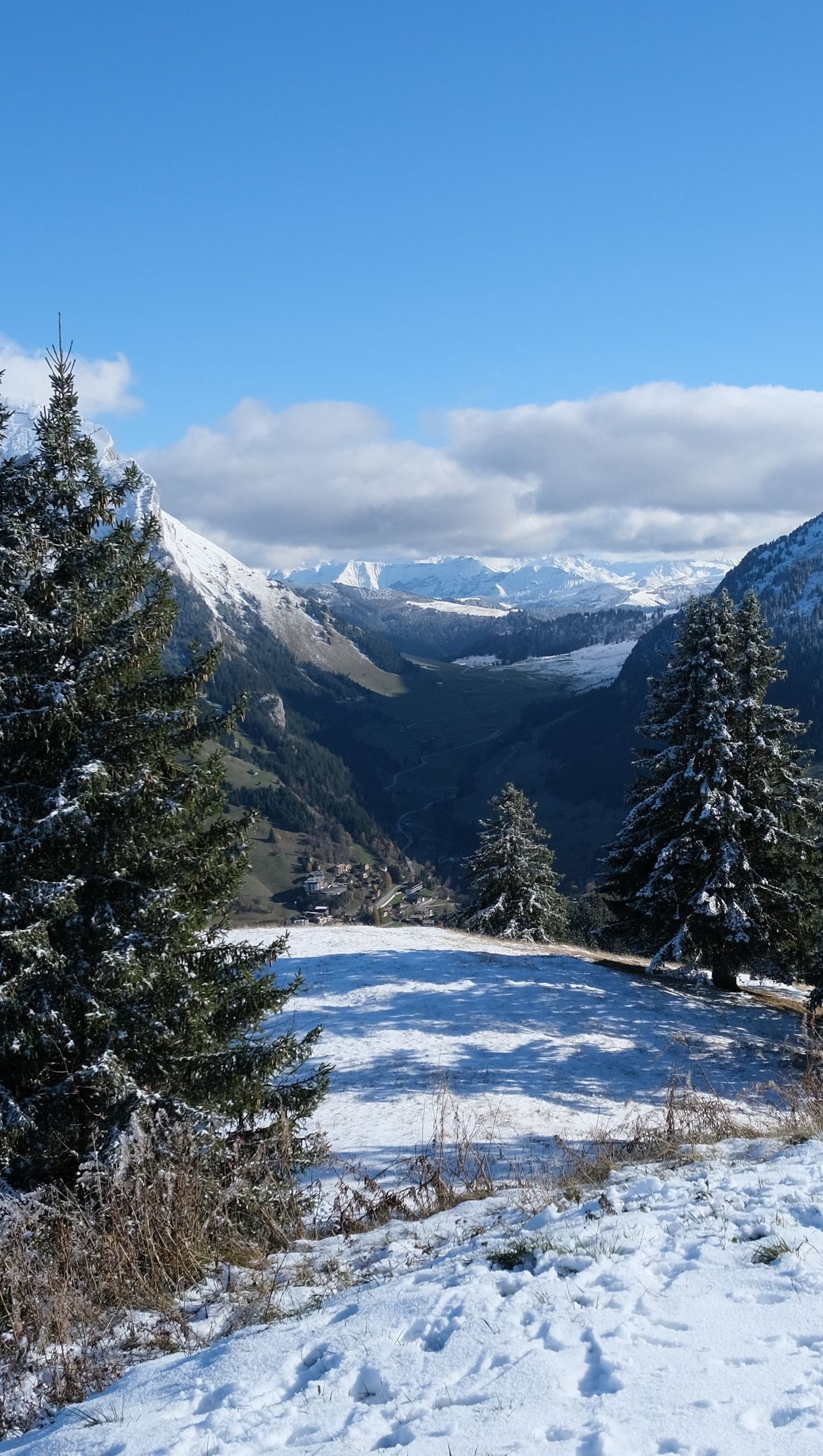 Nieve en el bosque con montañas de fondo