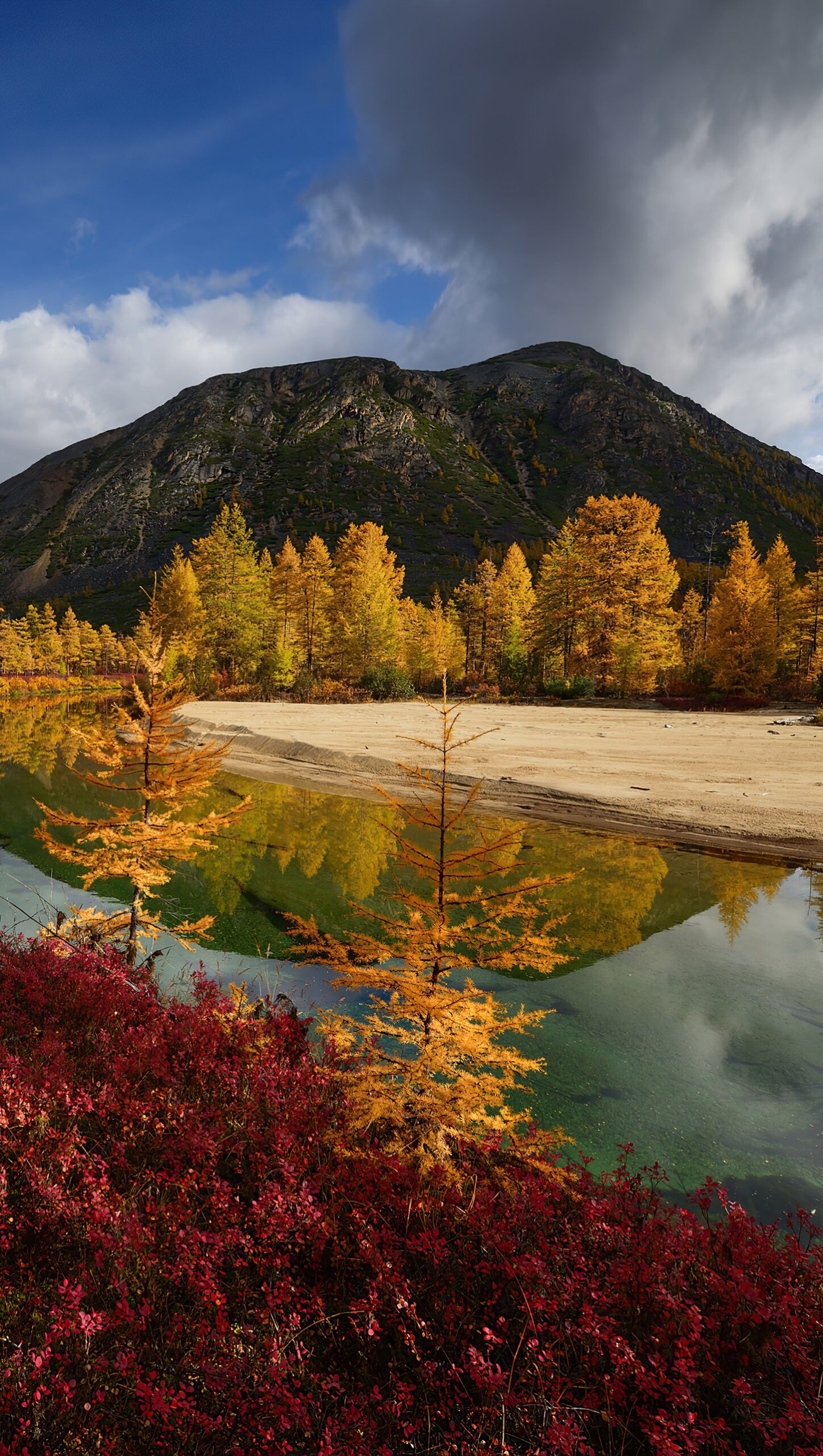 Otoño en bosque junto a un lago