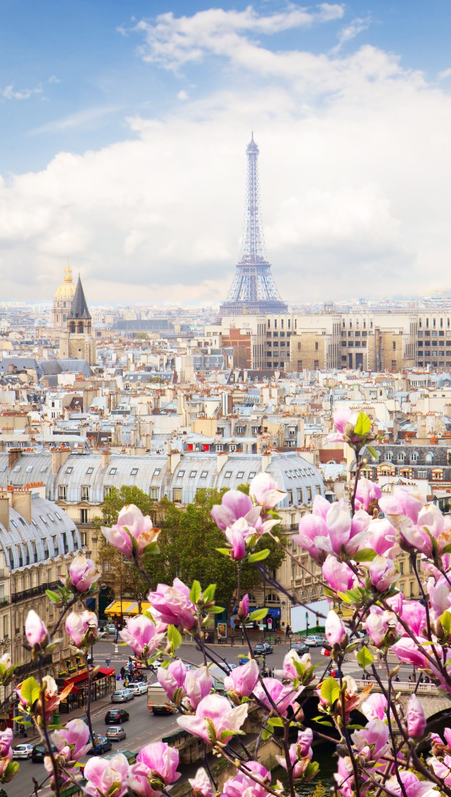 Paisaje de Paris con flores