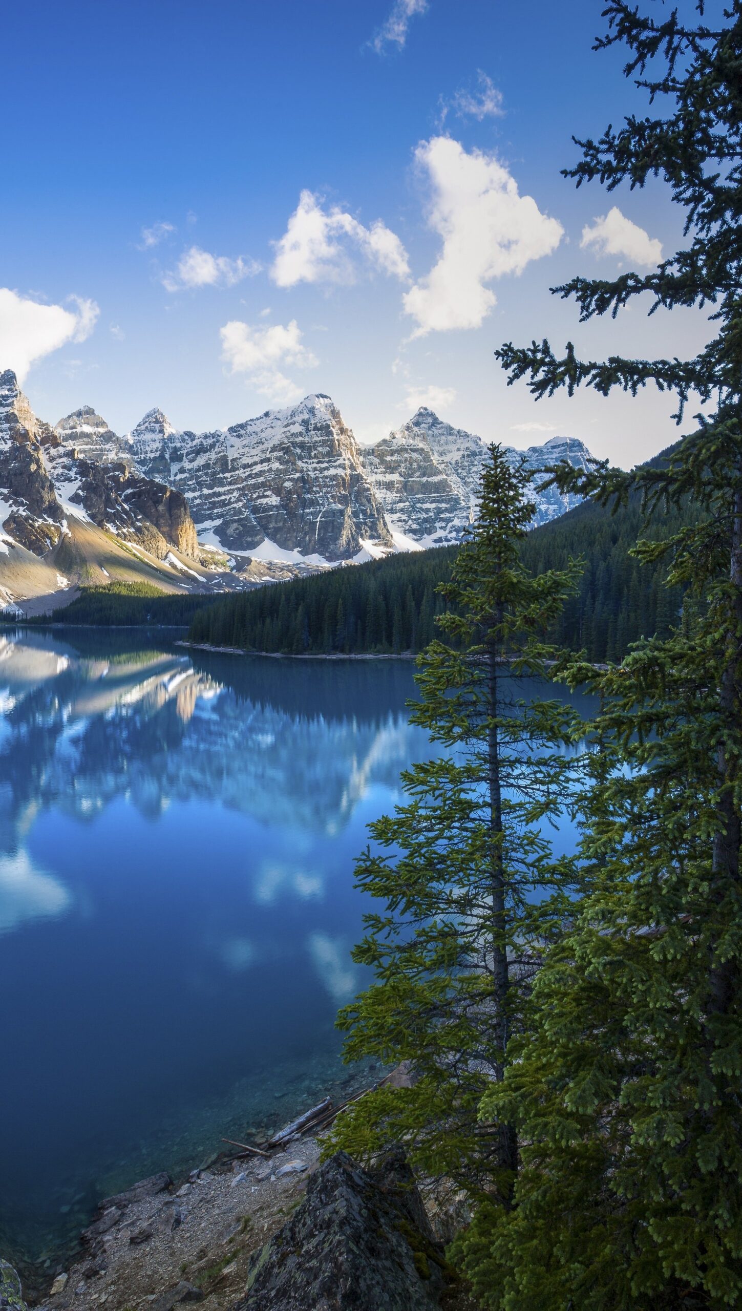 Paisaje de lago en el bosque Alberta, Canada