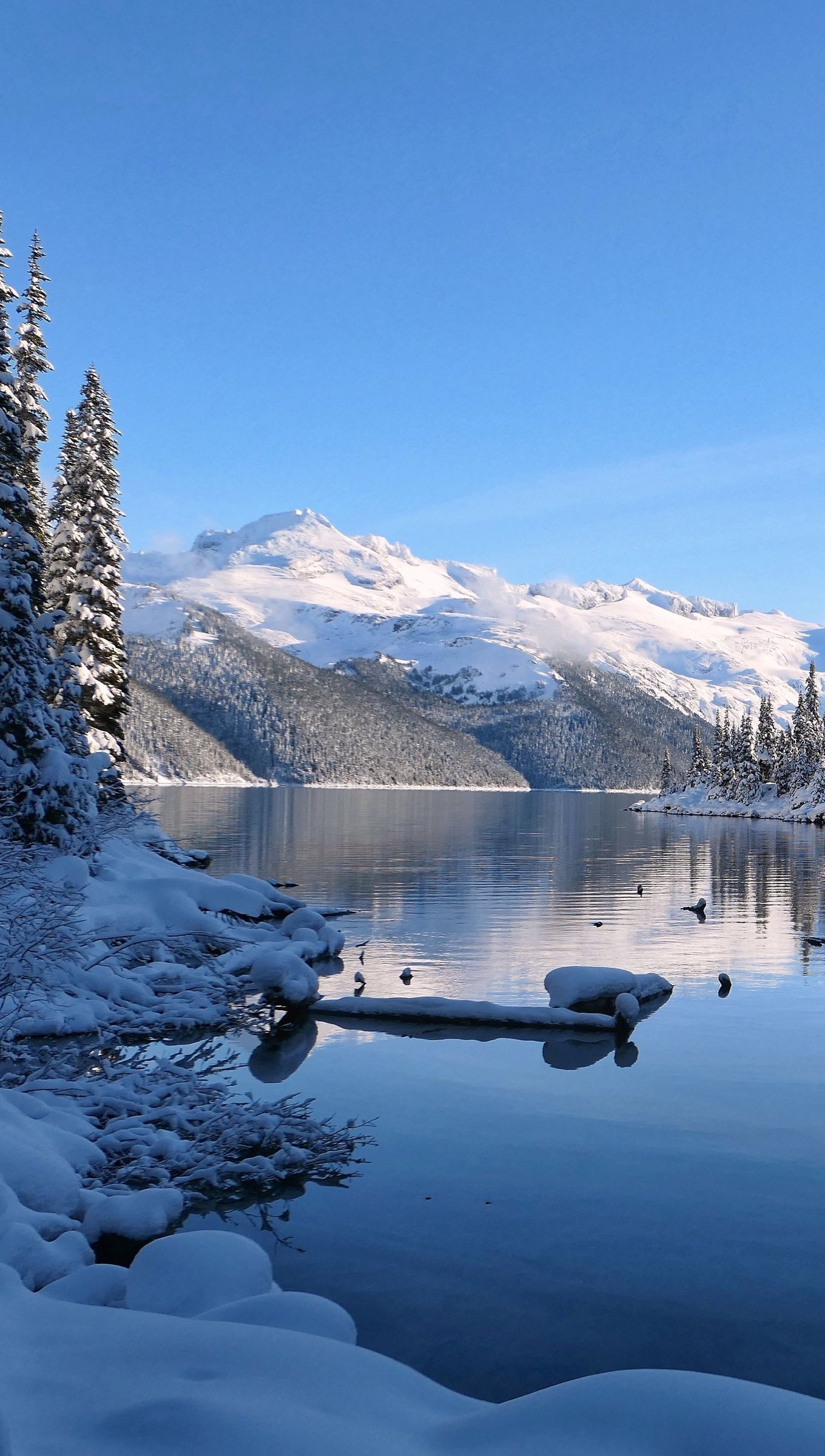 Paisaje de lago en la nieve