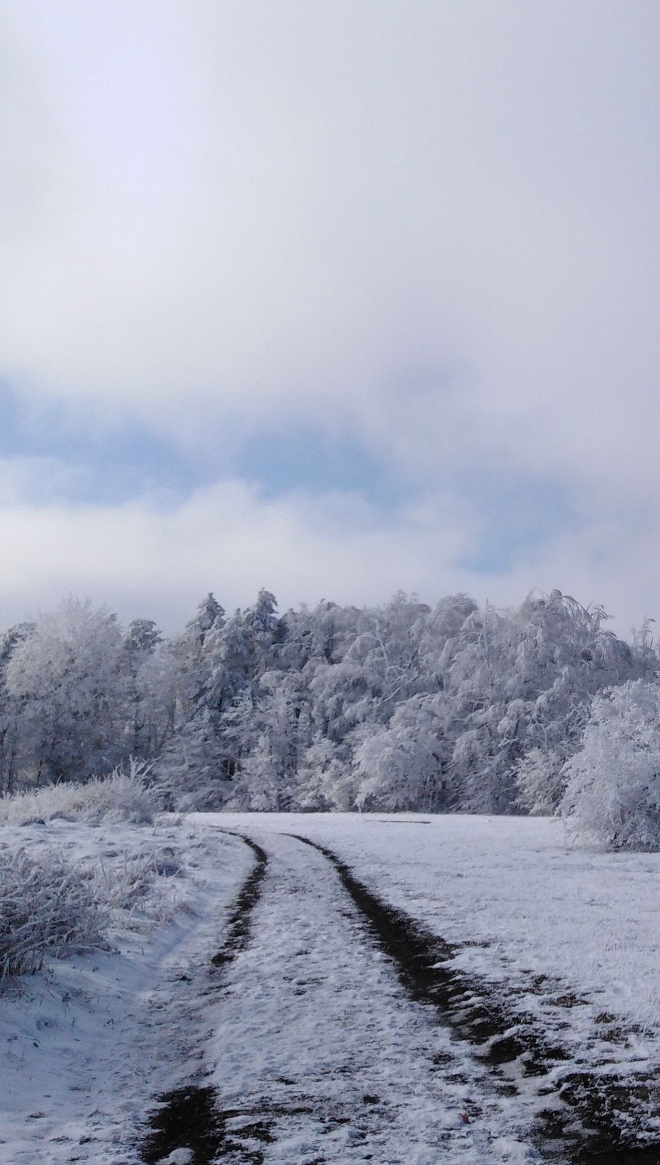 Paisaje nevado