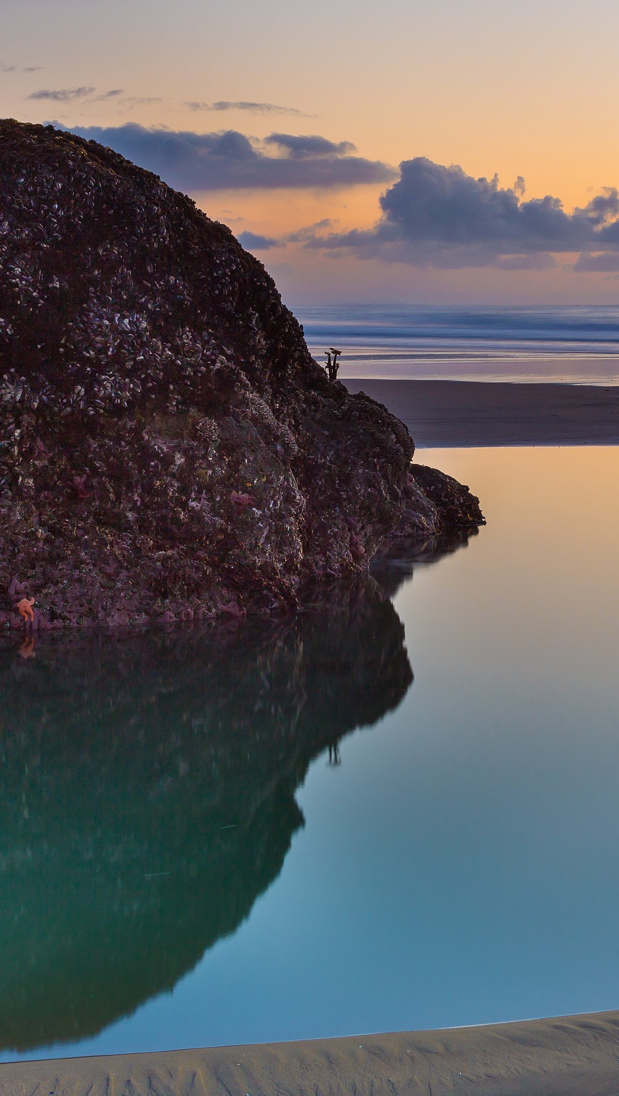 Playa Bandon al atardecer