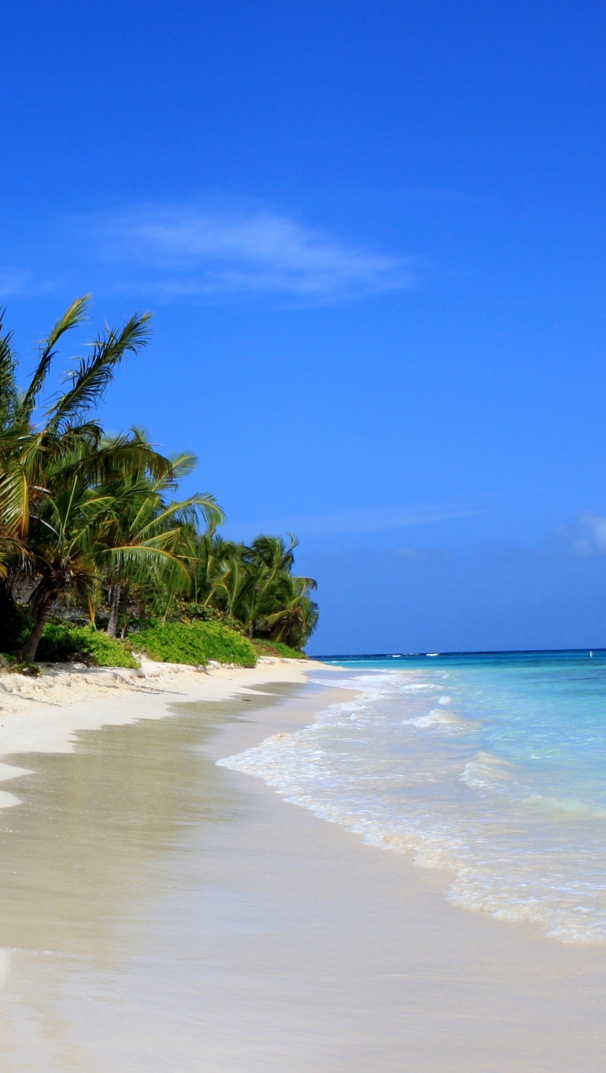 Playa Flamenco