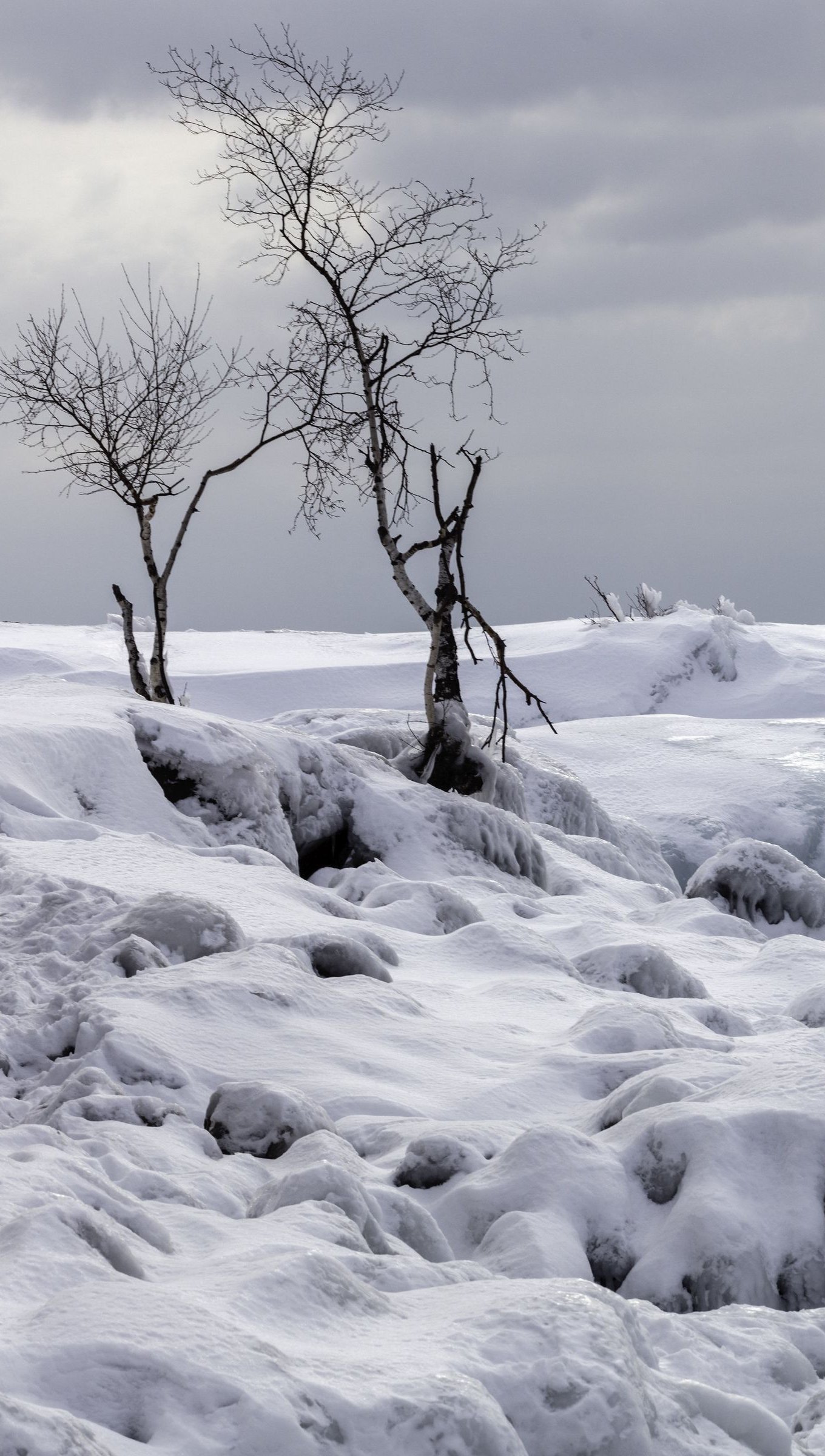 Playa con nieve