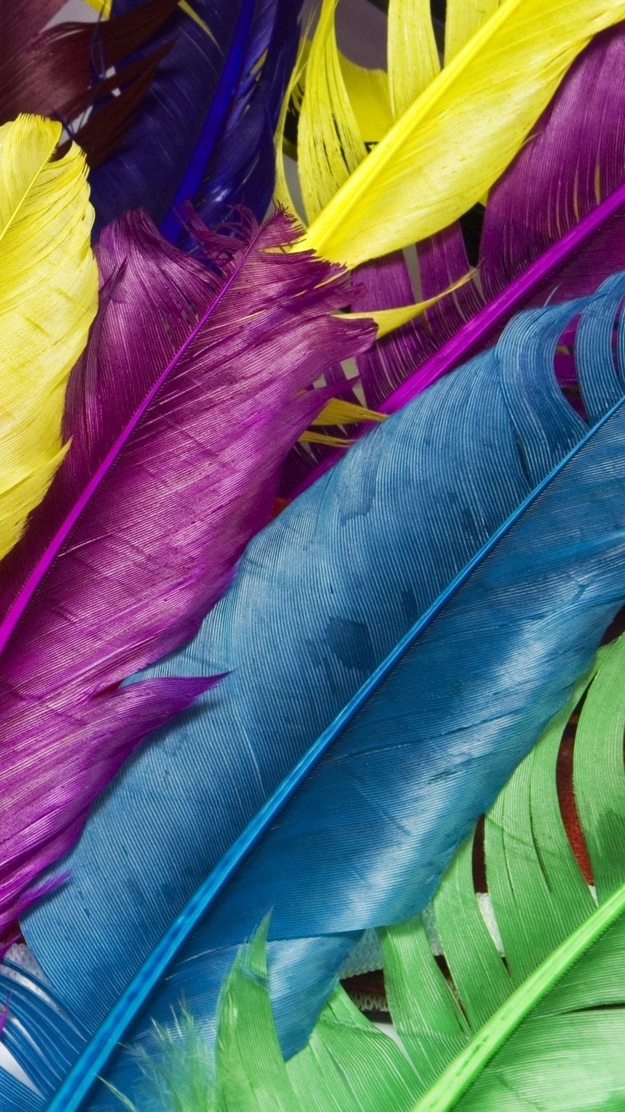 Plumas de colores