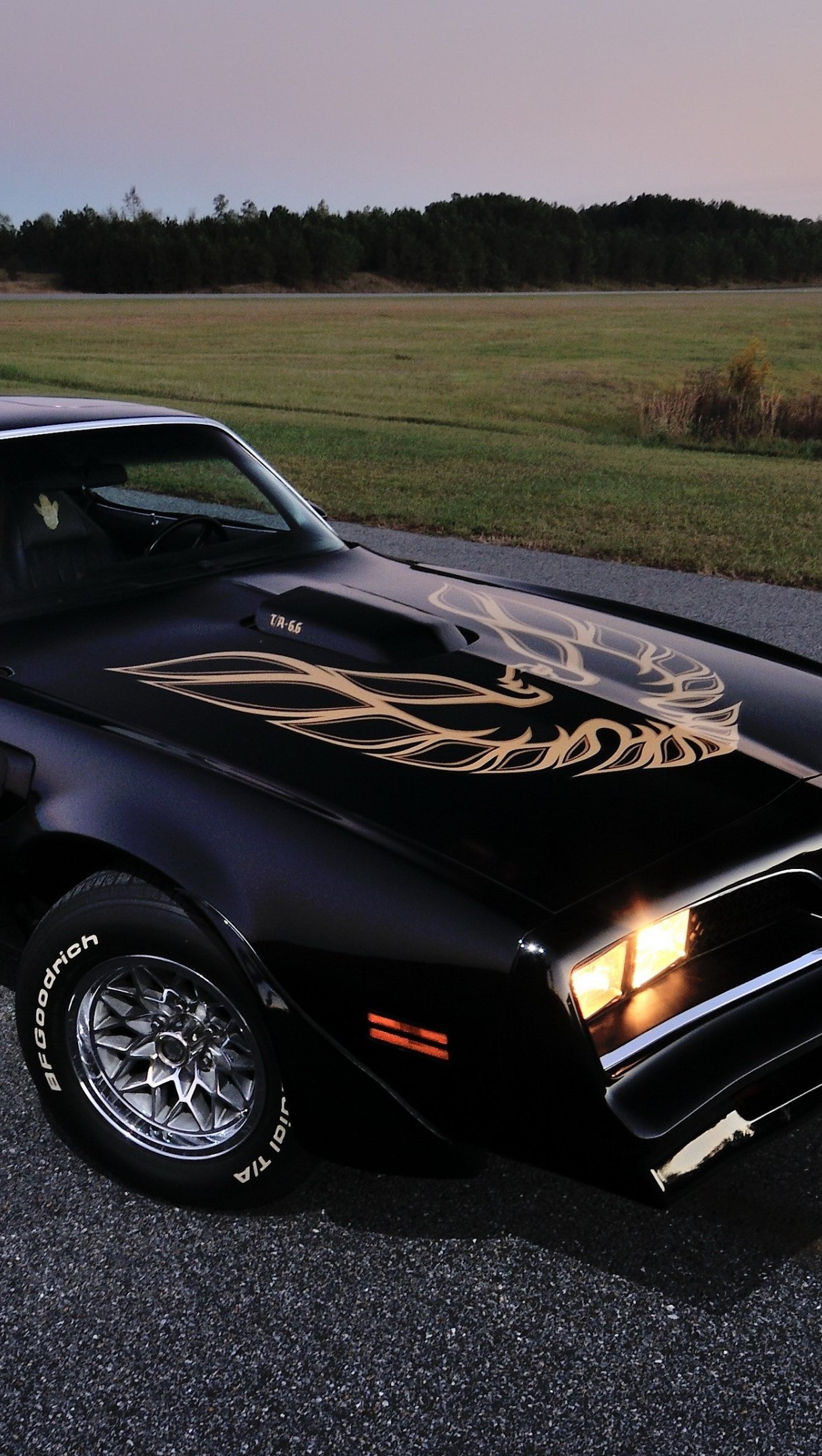 Pontiac Firebird 1978