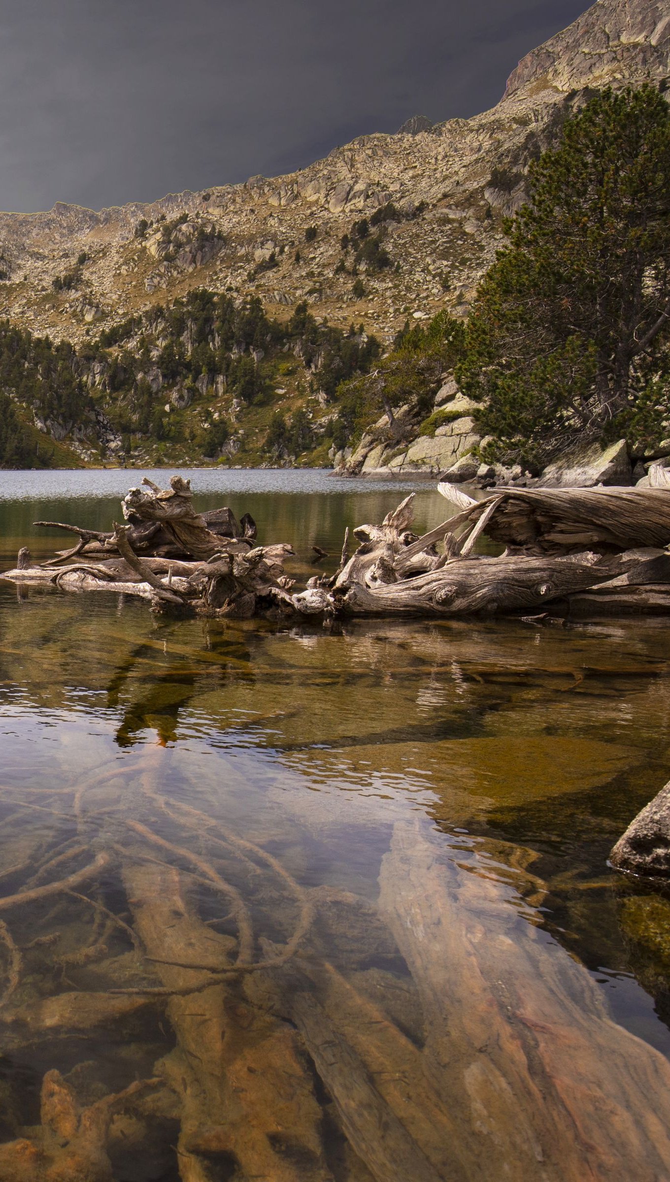 Ramas bajo río con montaña de fondo