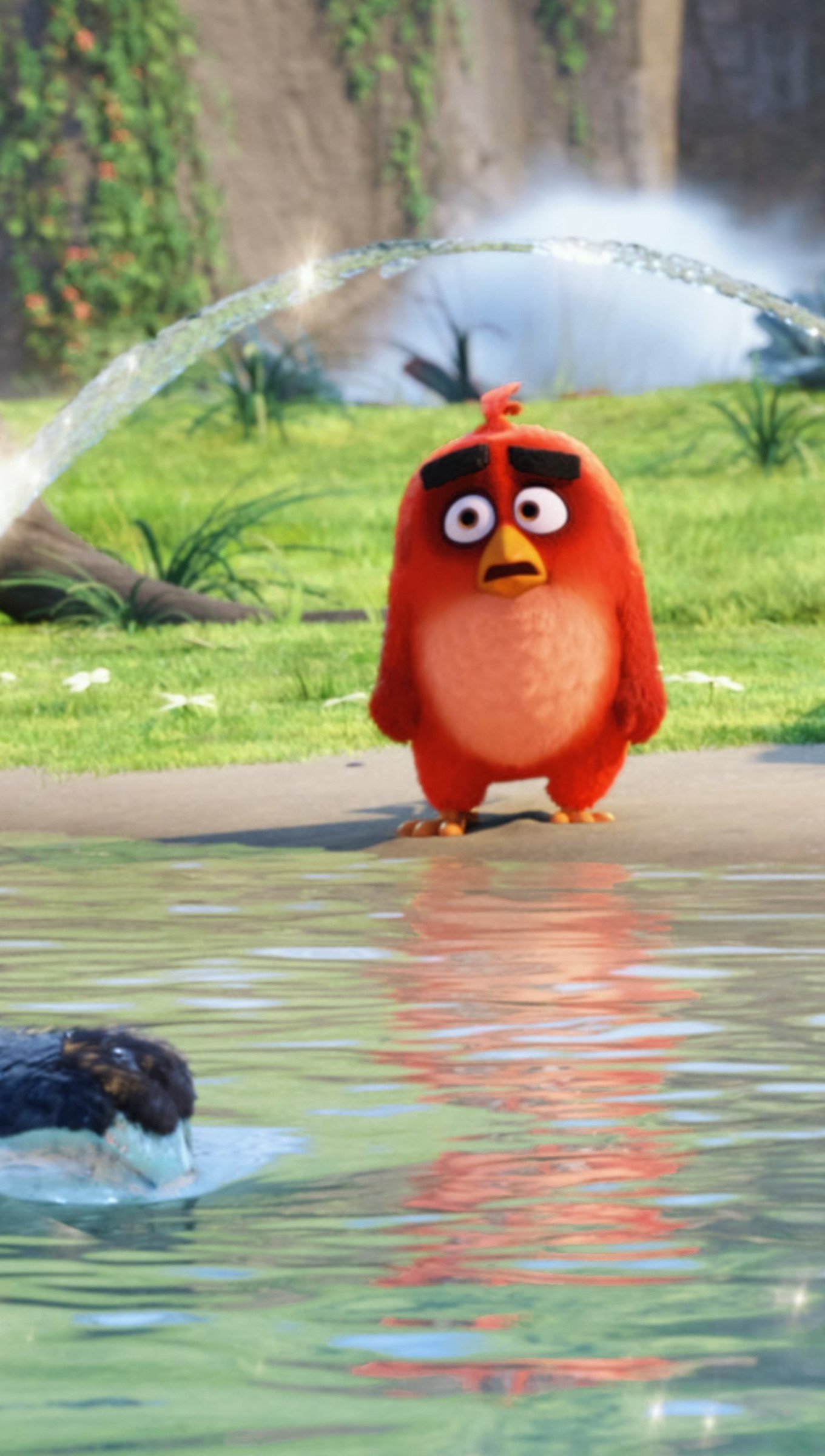 Red, Chuck y Bomb de Angry Birds en el agua