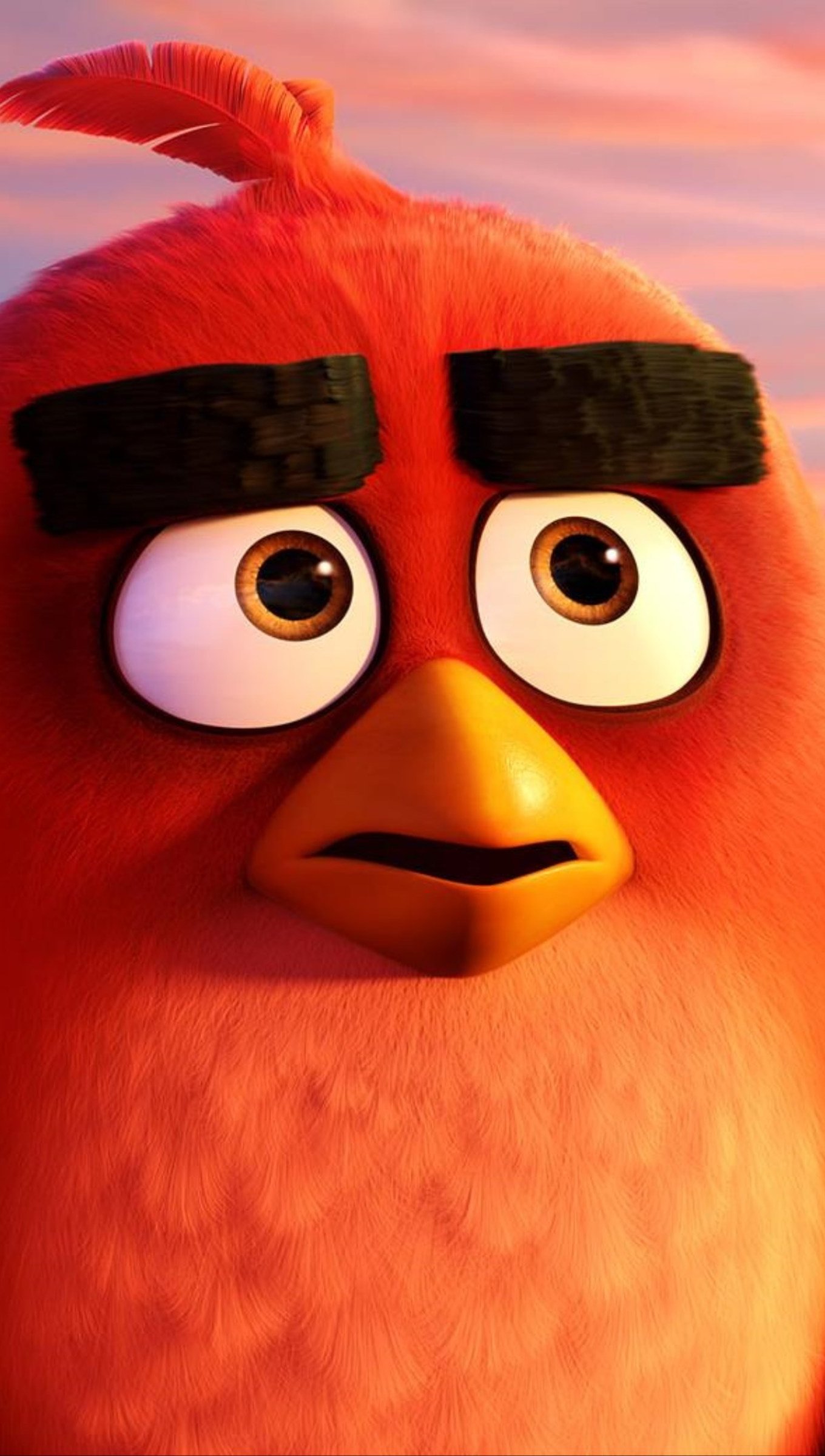 Red y Chuck en Angry Birds