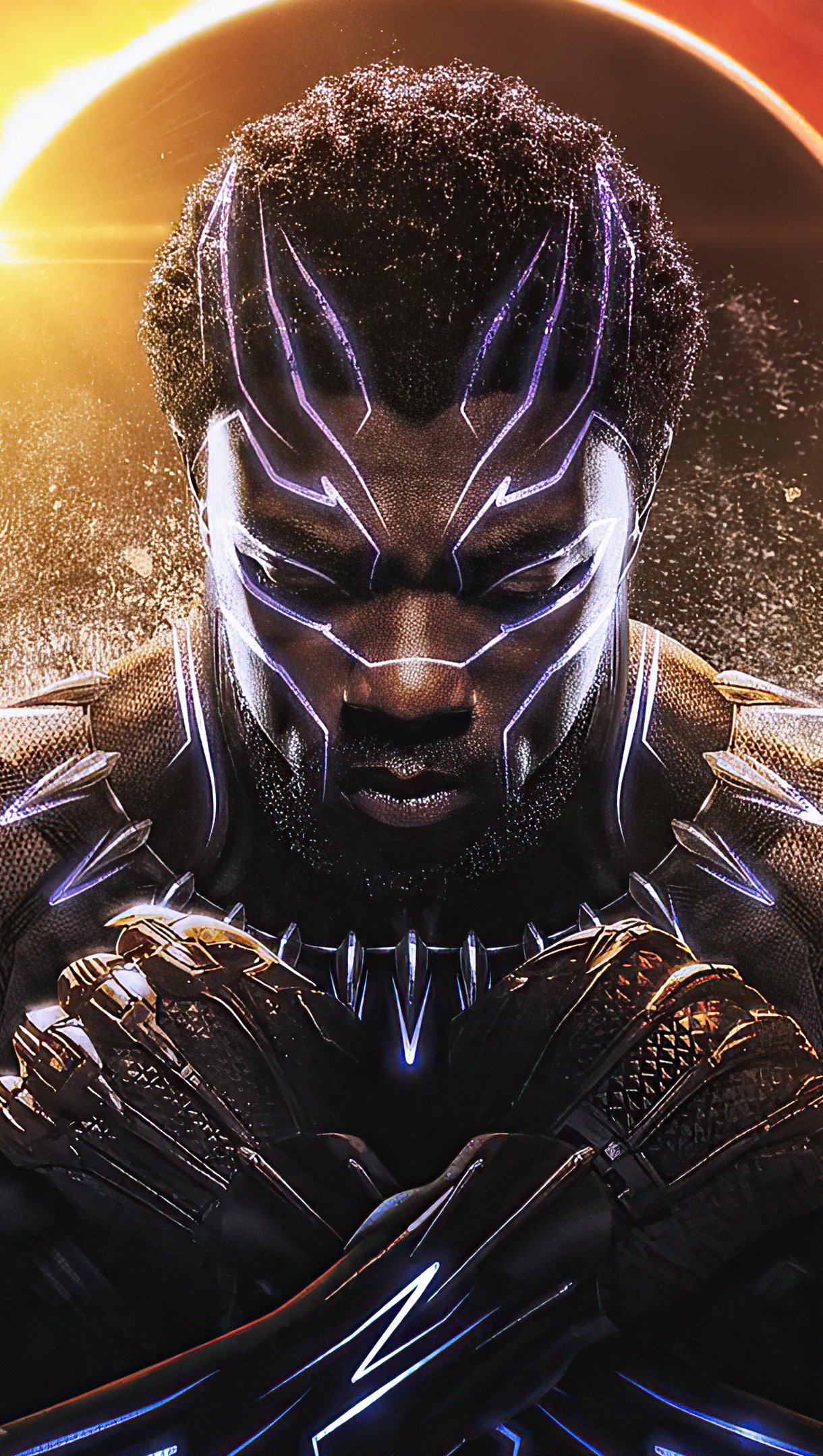 Rey de Wakanda Pantera Negra