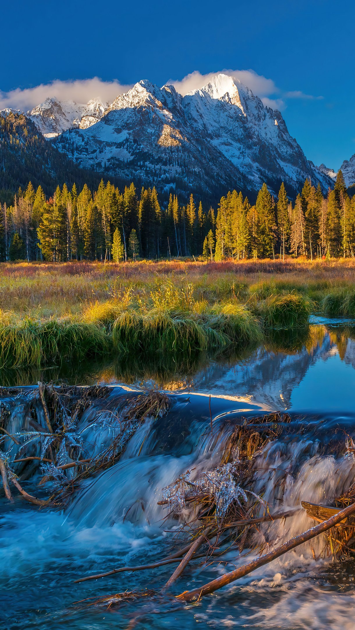 Rio en el bosque en Idaho Estados unidos