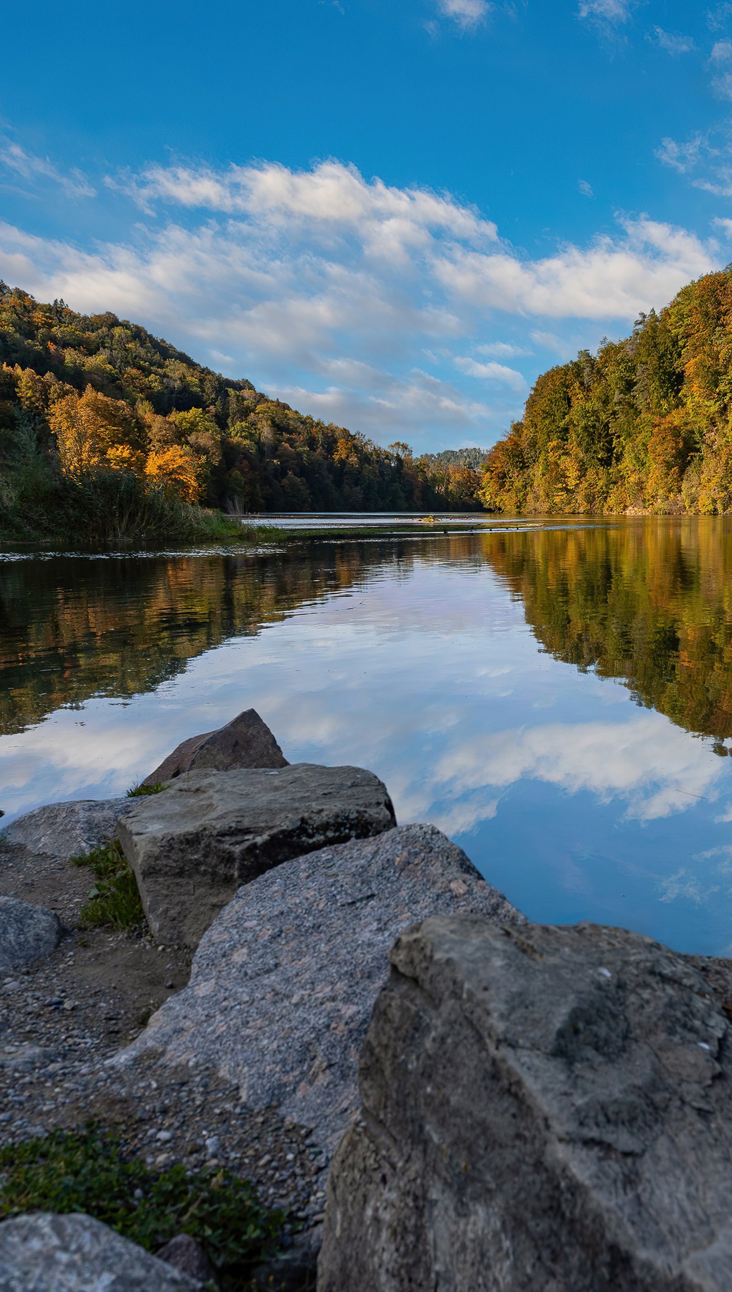 Rio en el bosque en Suiza