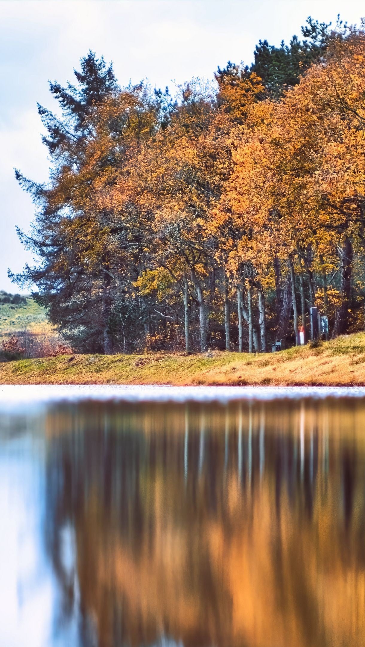 Rio junto alñ bosque y colina