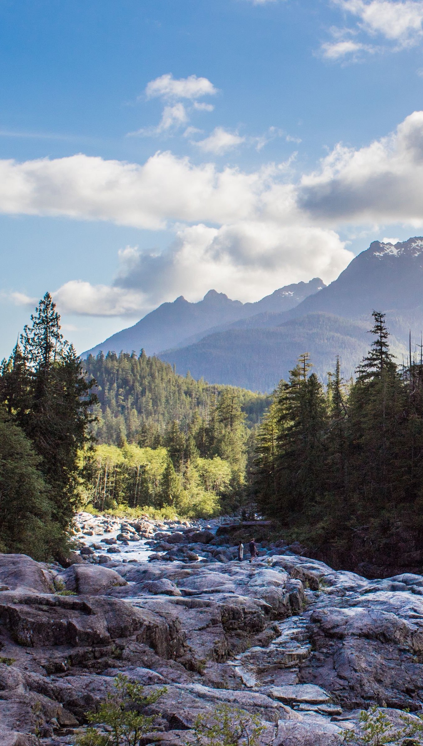 Rocas en el bosque