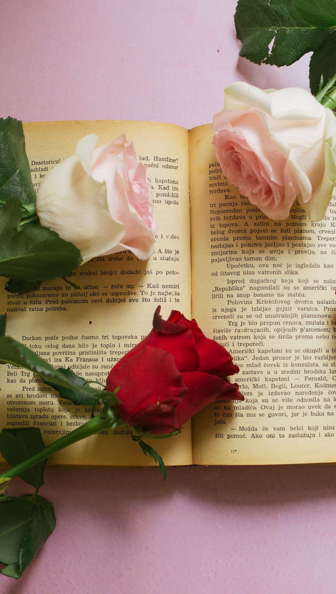 Rosas sobre libro