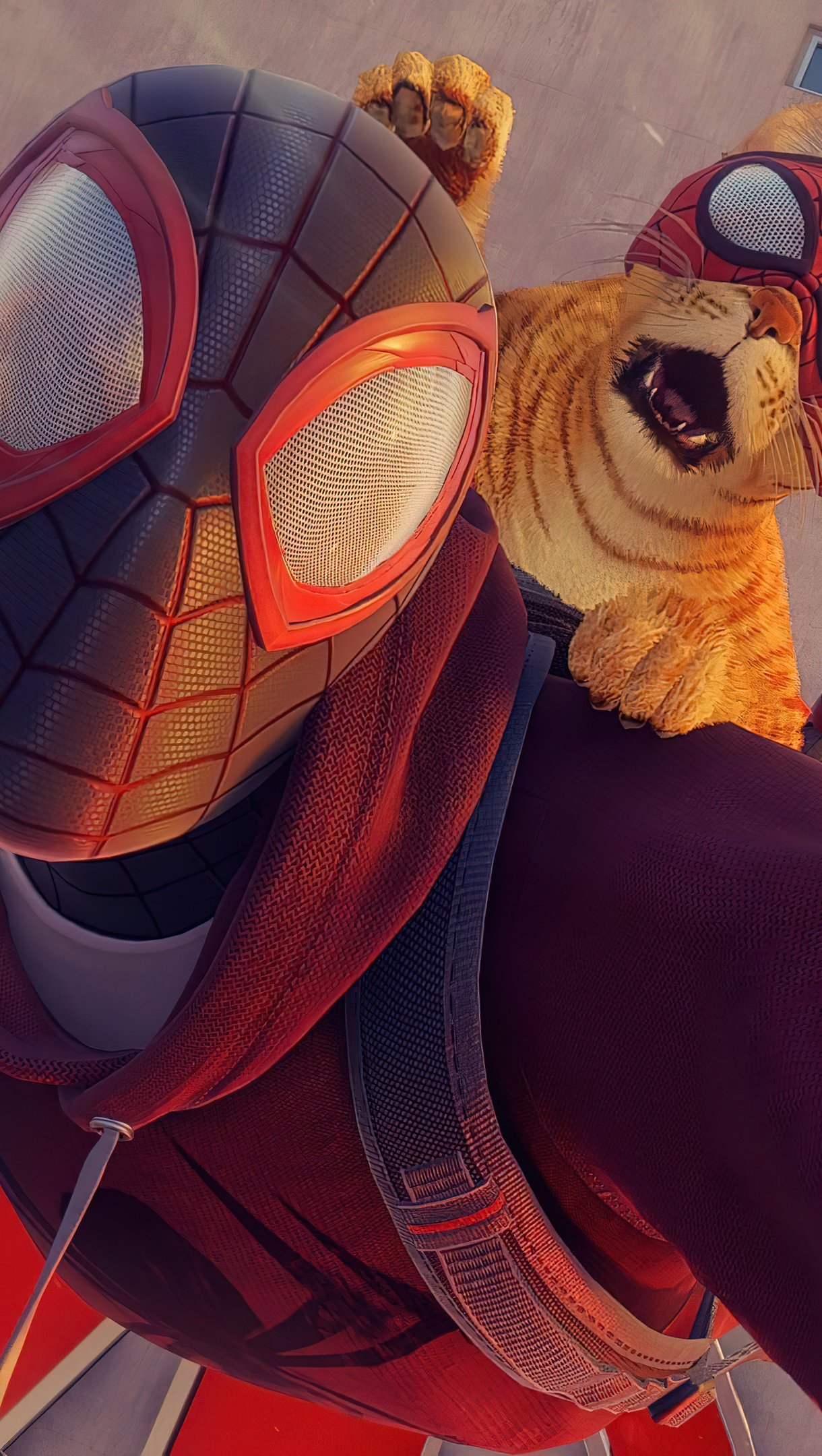 Spiderman y Spidercat