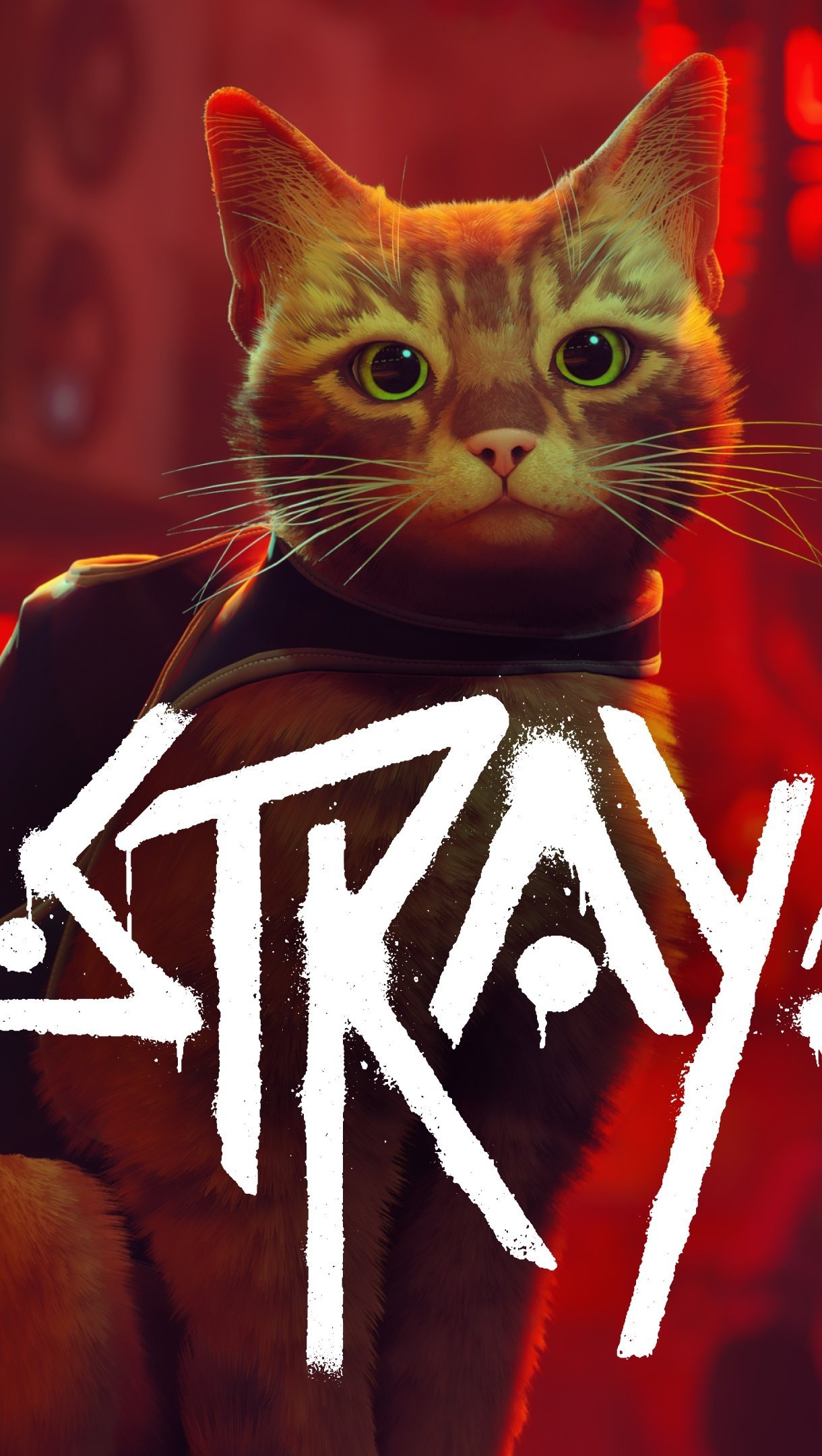 Stray Videojuego Portada