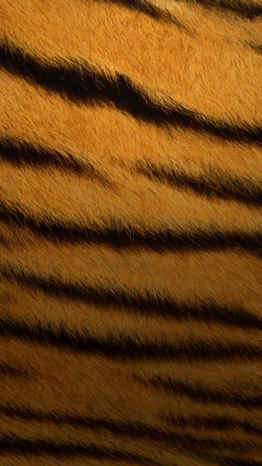 Textura Piel de Tigre