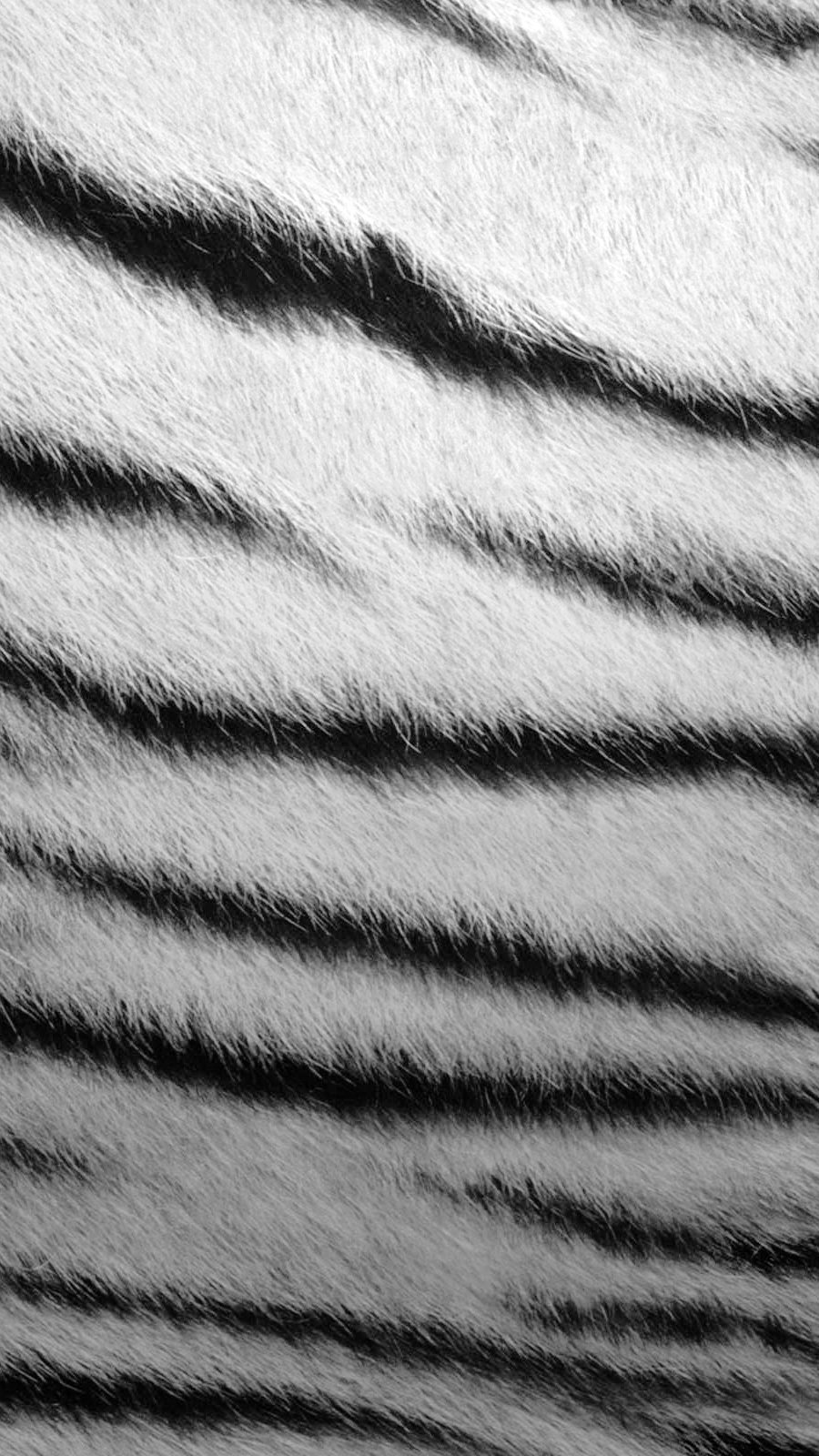 Textura de zebra