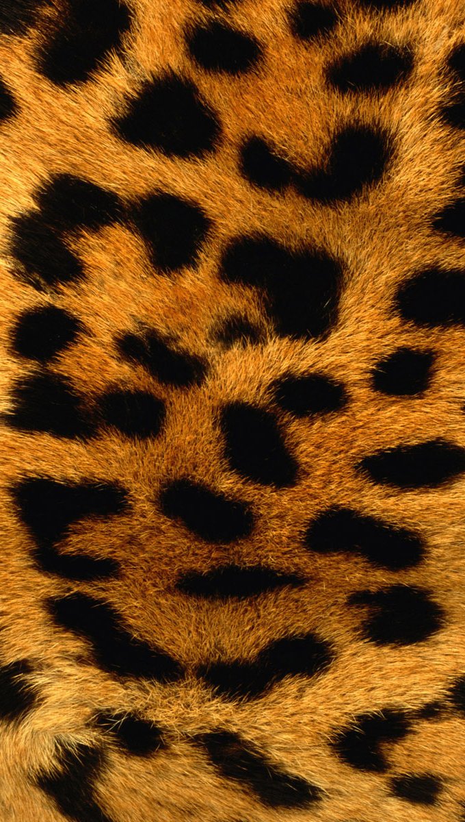 Textura piel de leopardo