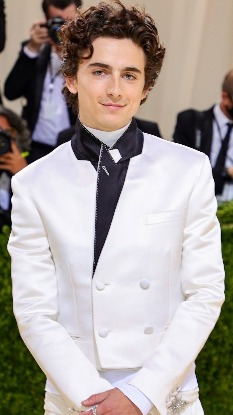 Timothee Chalamet Met Gala 2021