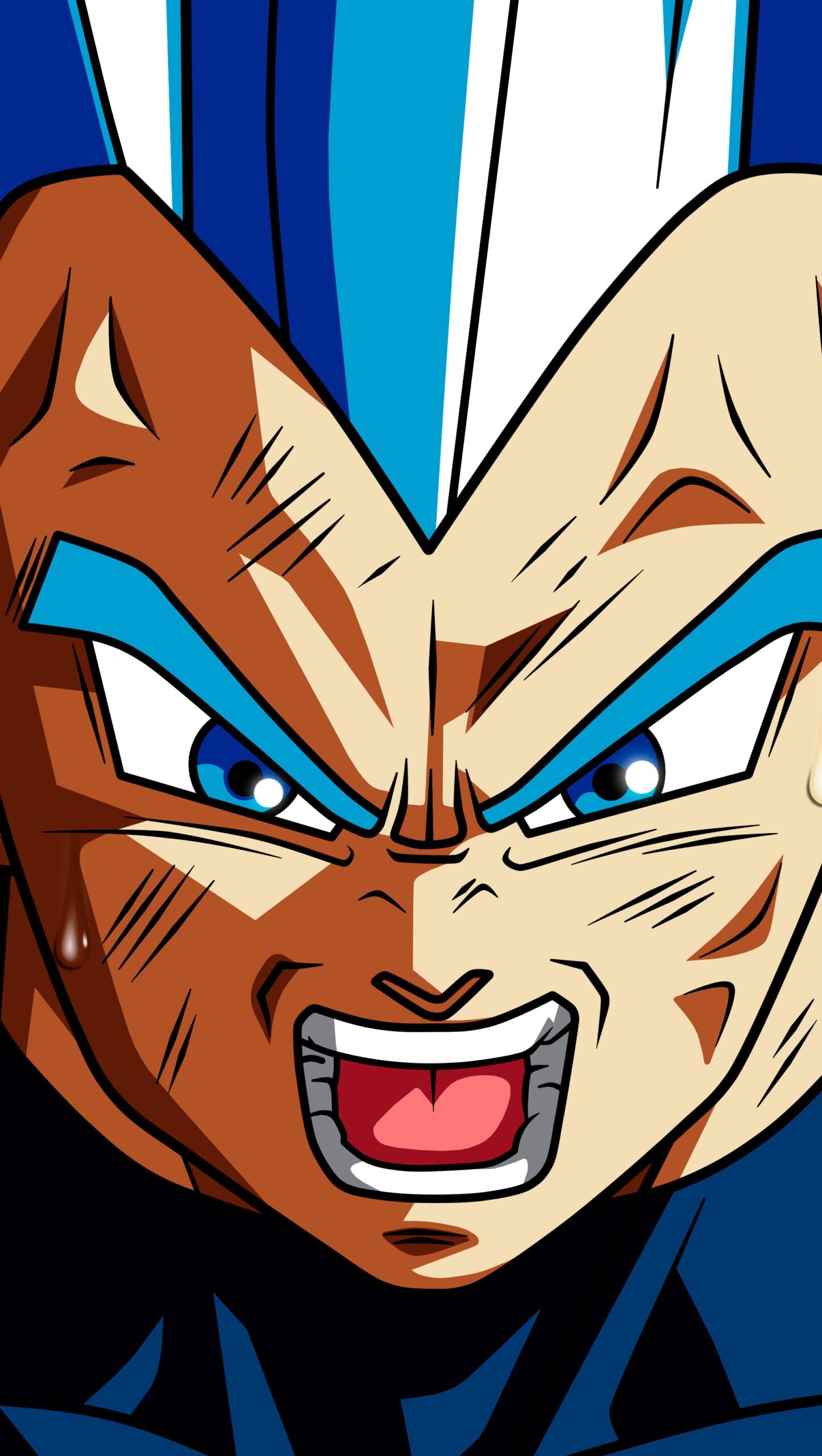 Vegeta SSJ Blue Dragon Ball Super