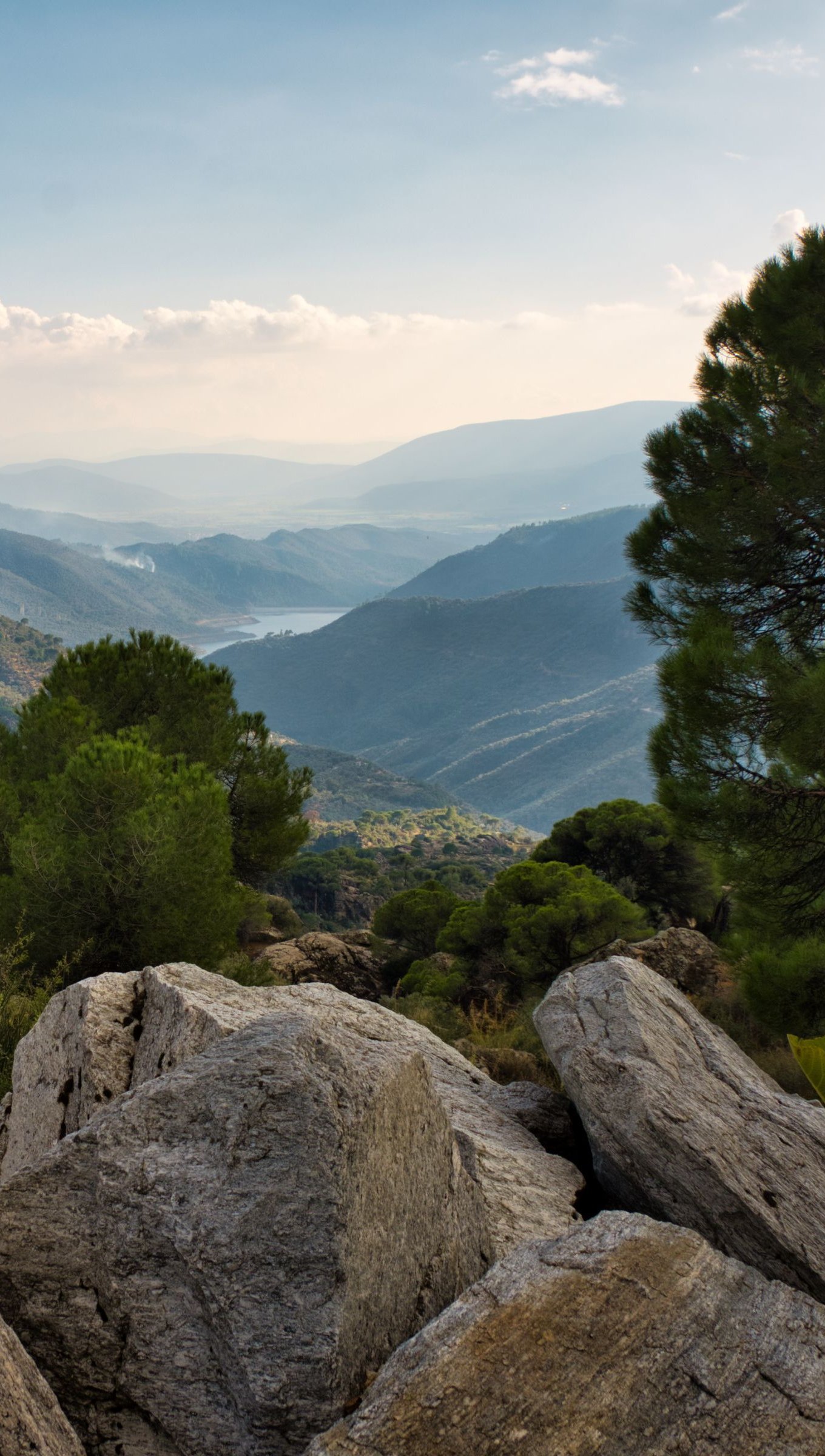 Vista desde una montaña en el bosque