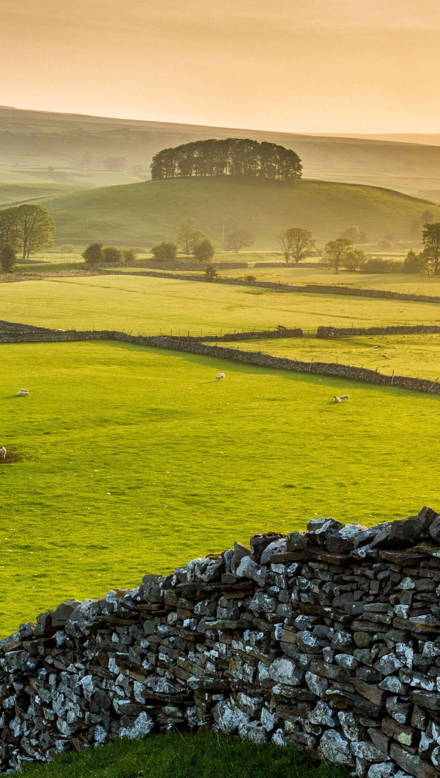 Wensleydale Parque Nacional de Yorkshire Dales