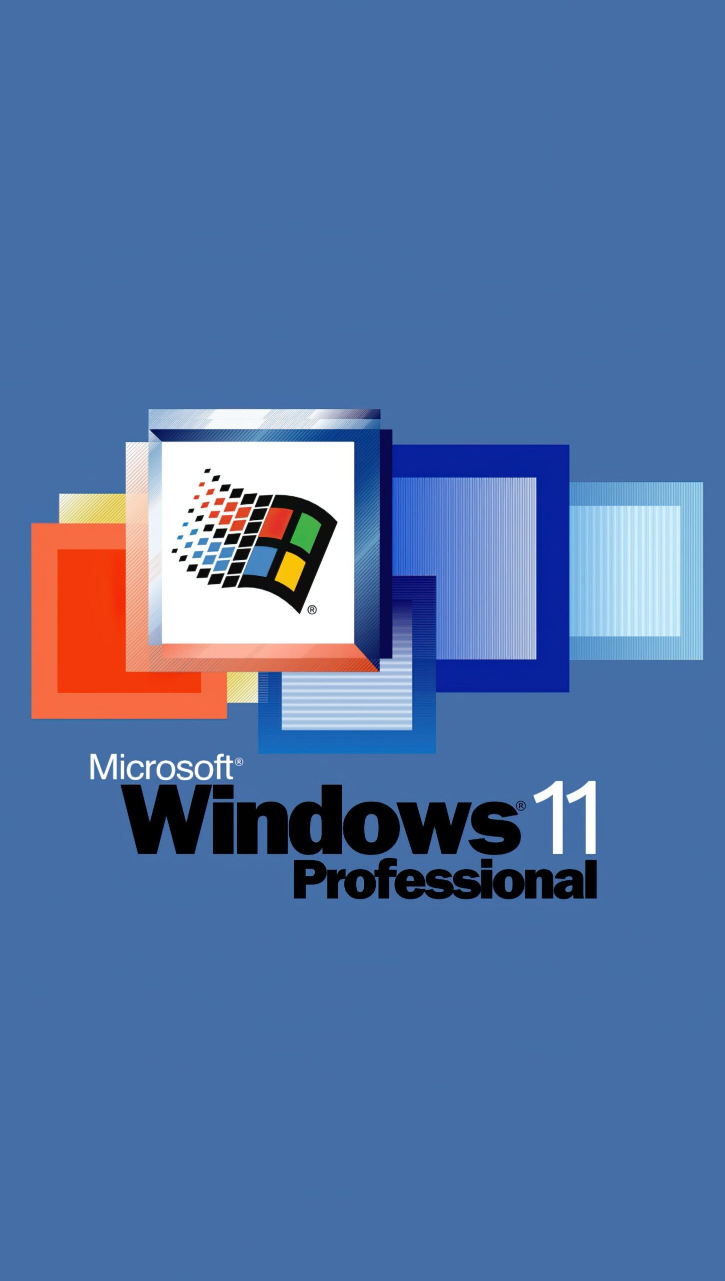 Windows 11 Professional