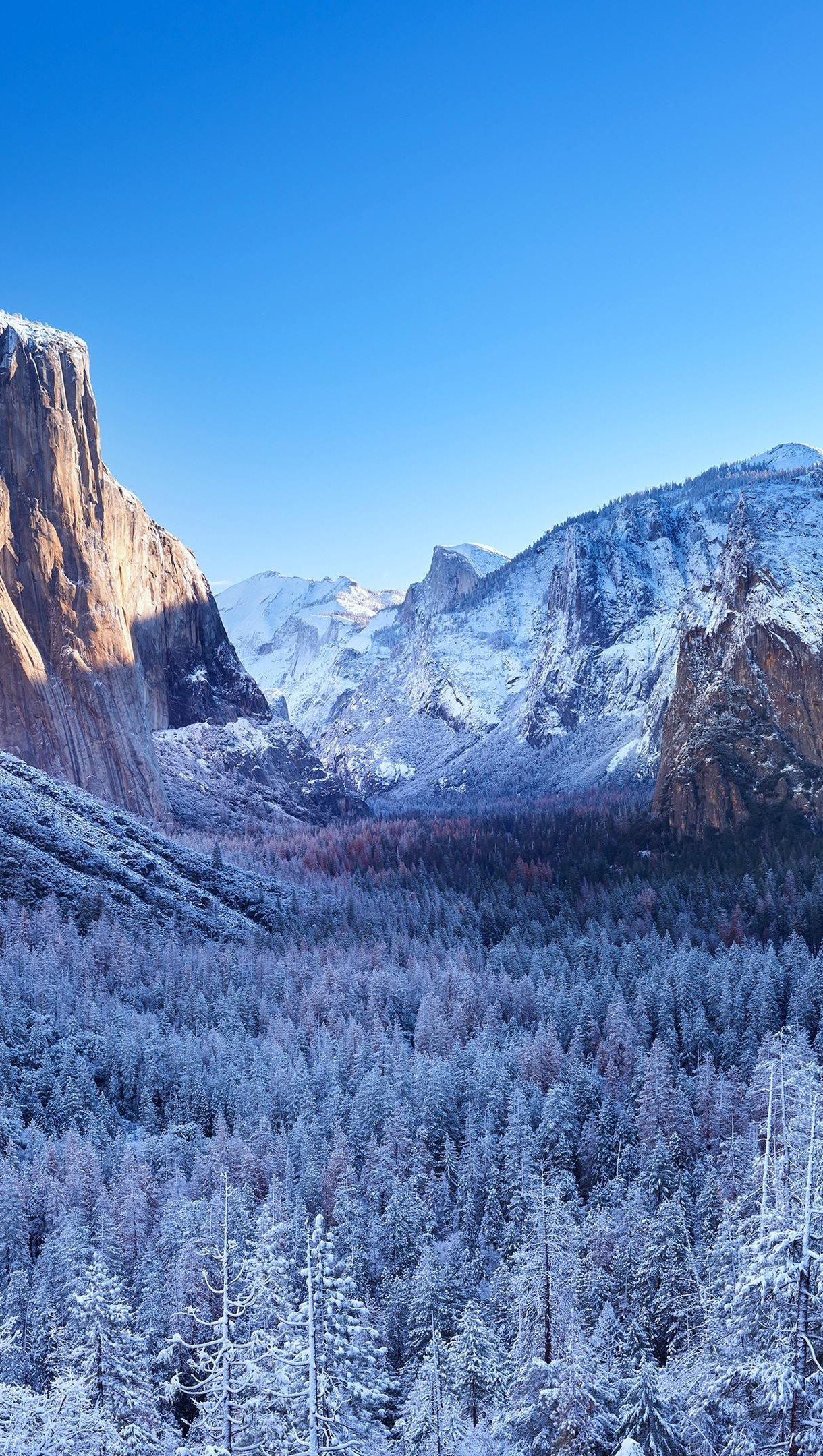 Yosemite durante el invierno